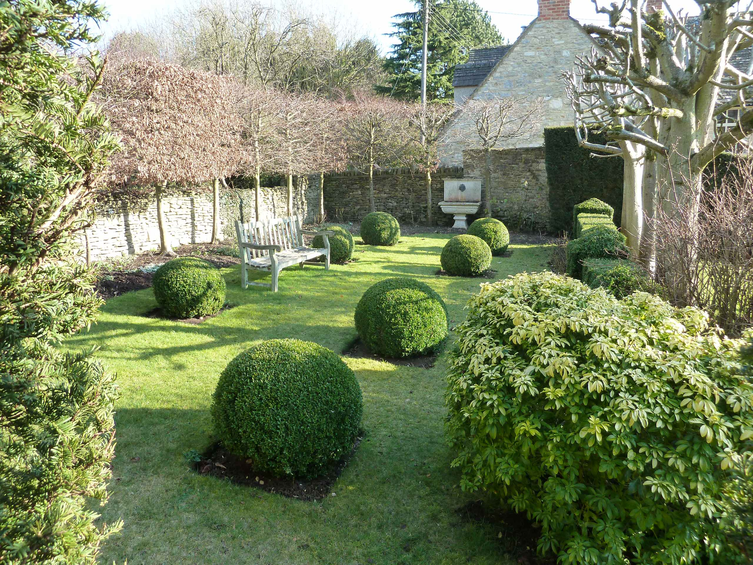 Фотоохота: шары — стриженые и не только