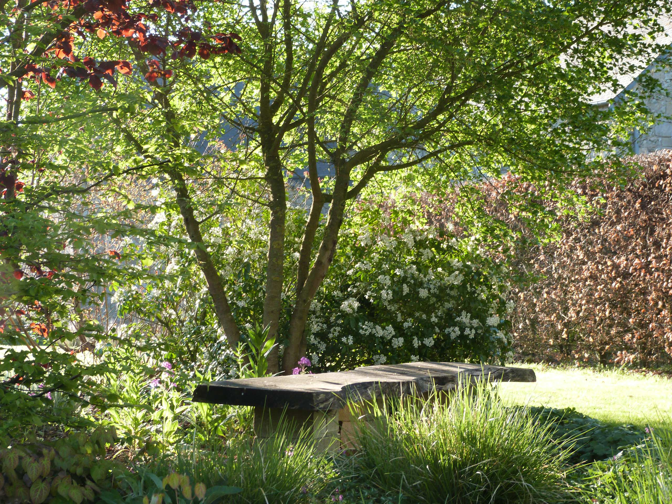 Хороший вопрос: «Сад малого ухода» — сказки ли это