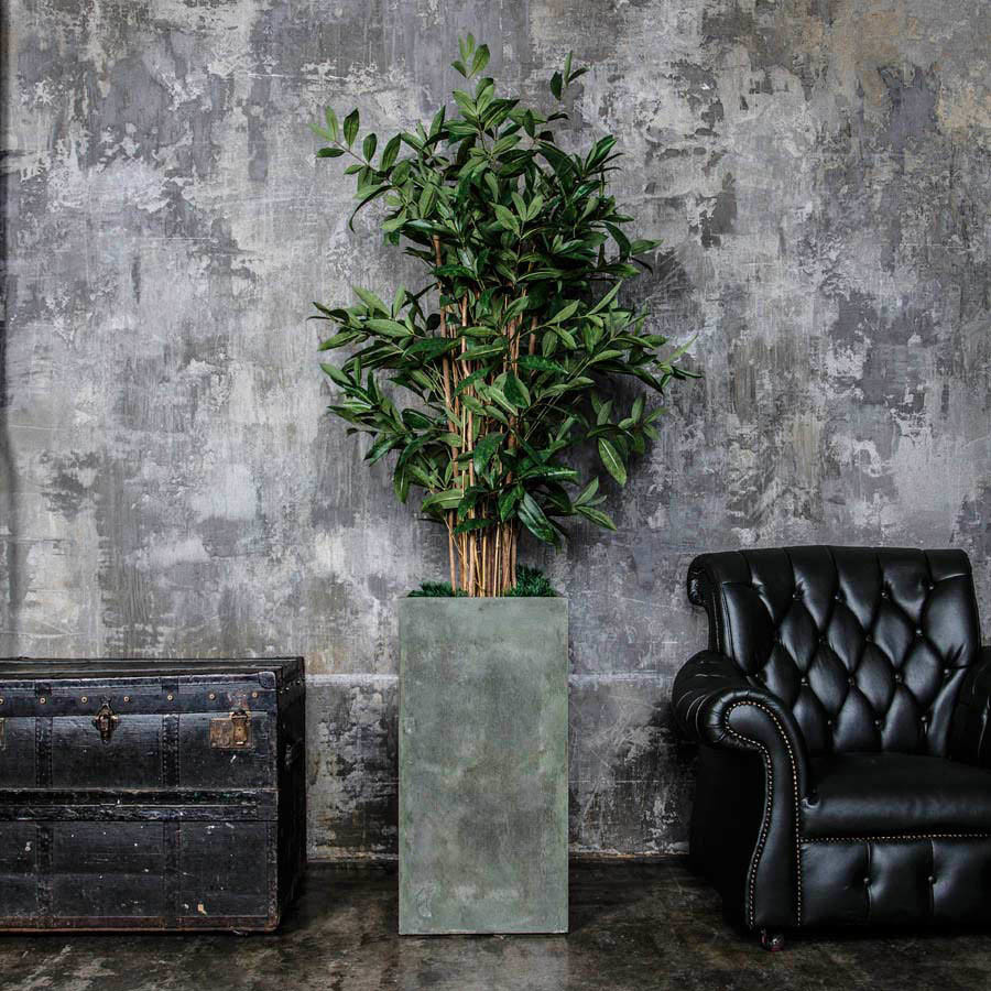 Вопрос: Как выбрать кашпо для больших растений