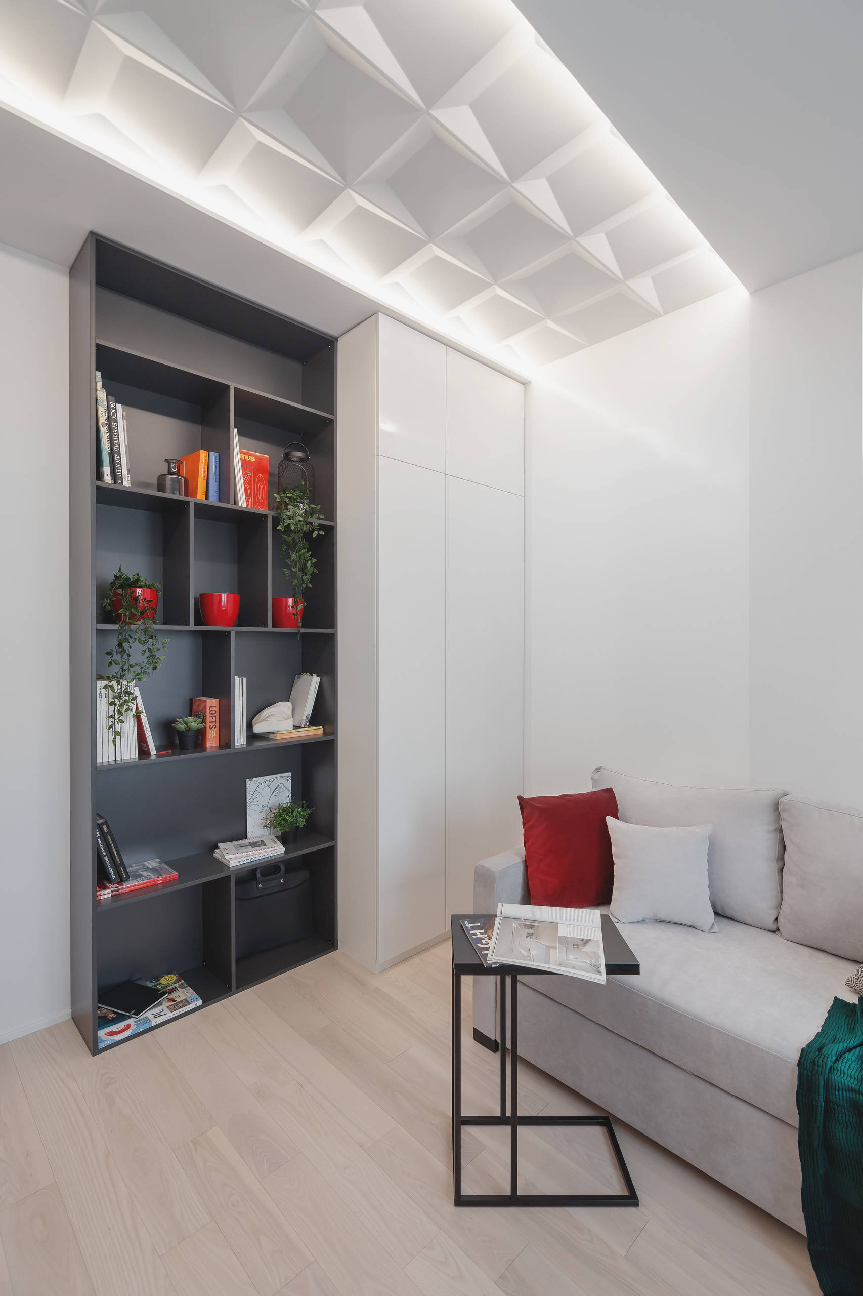 Houzz тур: Забор ПО-2 на стенах в одной московской квартире