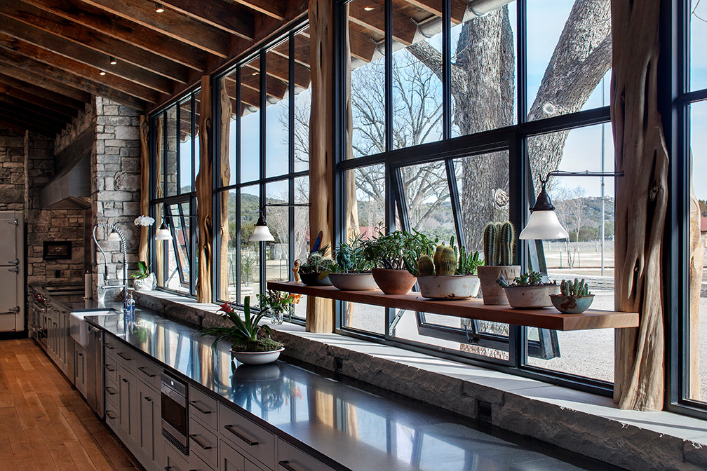 Денежное дерево: Топ-10 комнатных растений для богатства