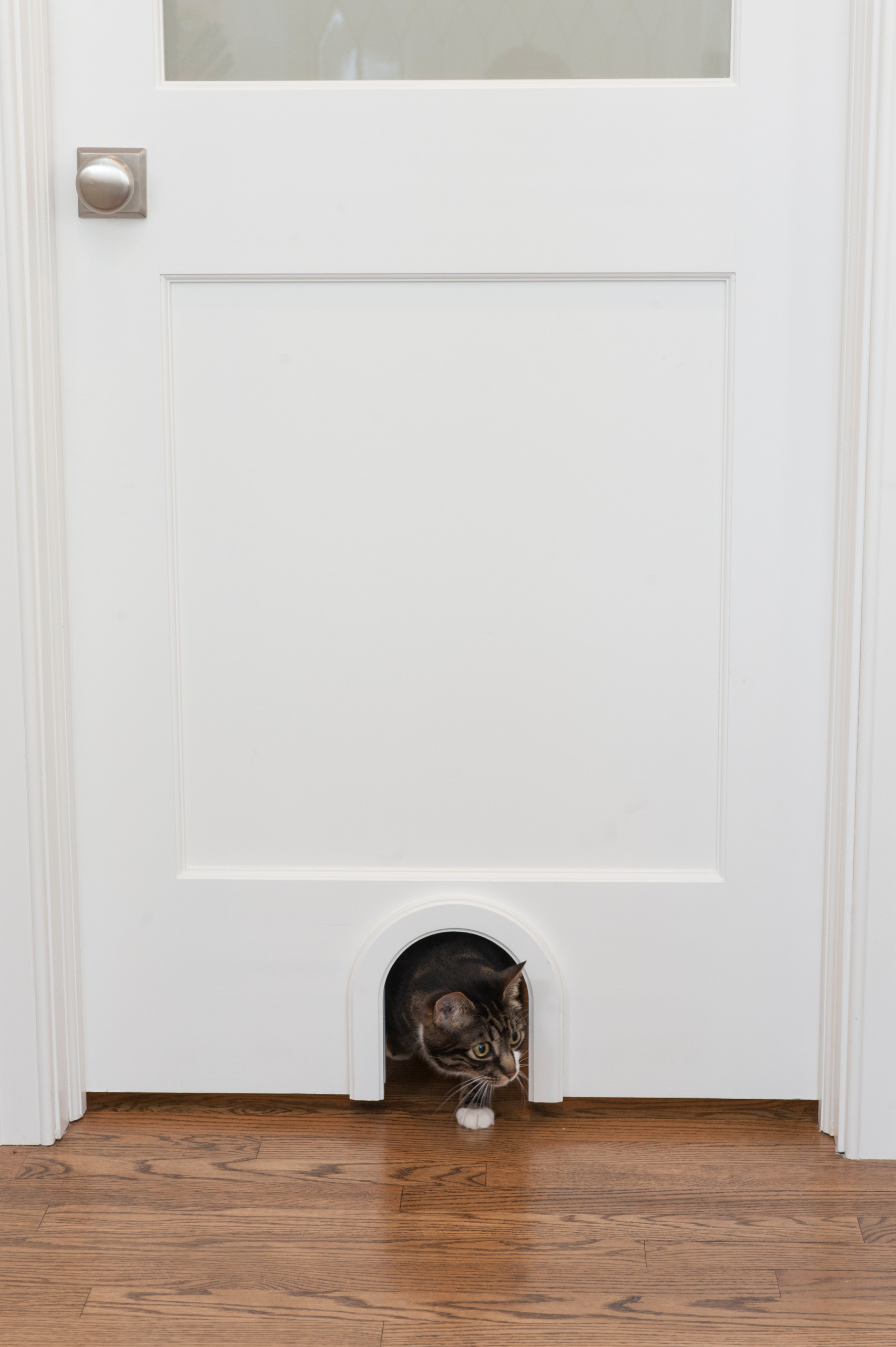 Почему не мне это пришло в голову: 20 идей в закладки