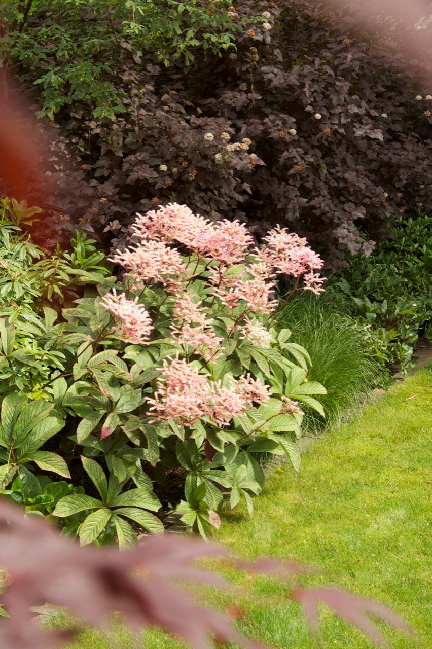 Зачем вам: Миксбордер с растениями в человеческий рост