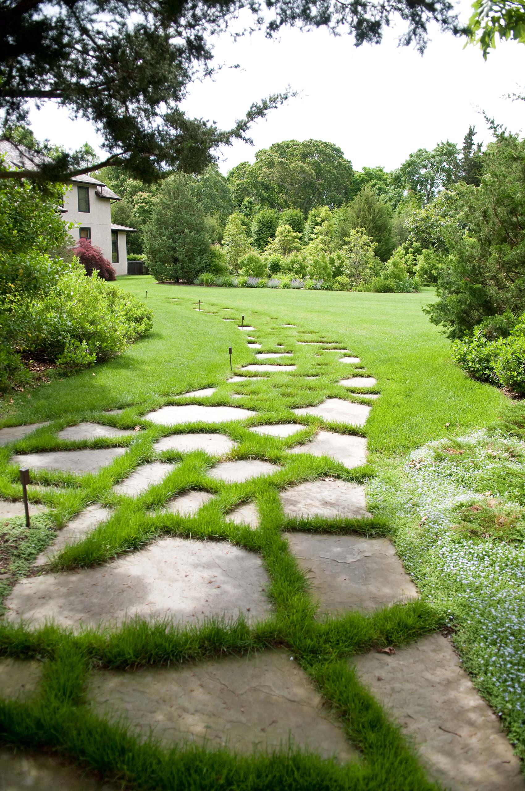 Управляй вниманием: Как показать сад во всей его красе