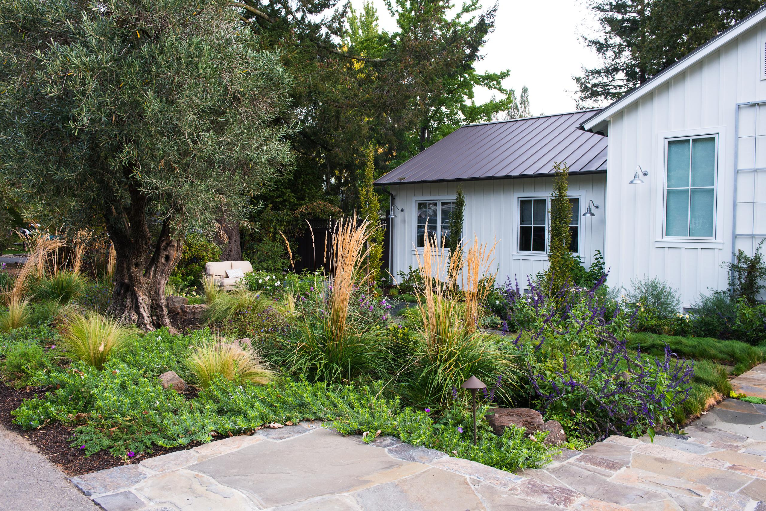 Фотоохота: 37 садов со злаками