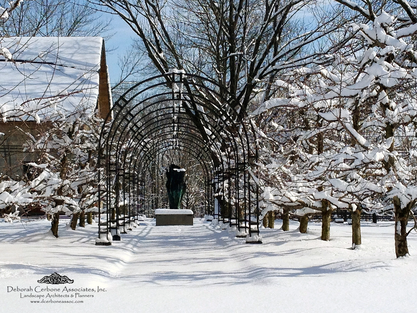Вопрос: Какие работы важно проводить в саду зимой