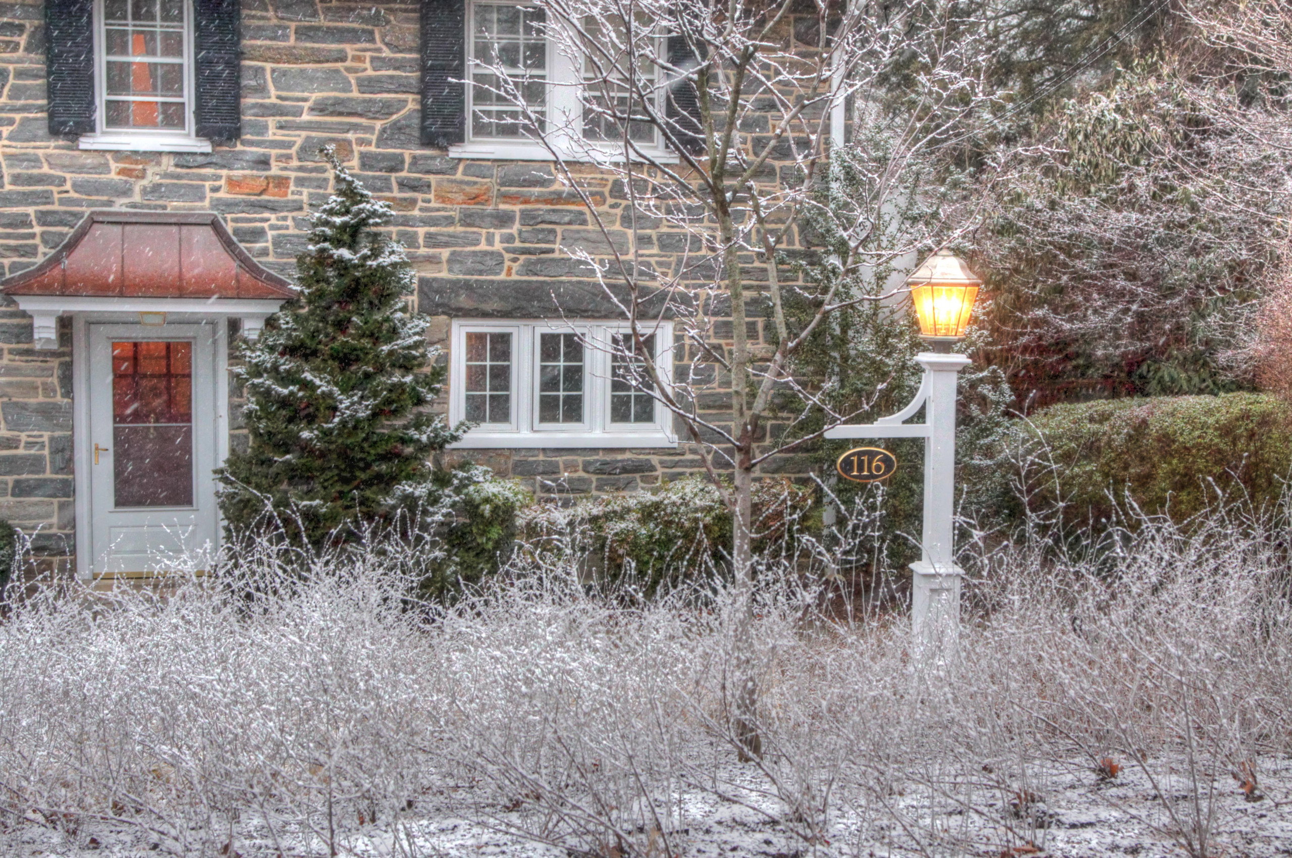 Готовимся к зиме: Выбор морозоустойчивых деревьев и кустарников