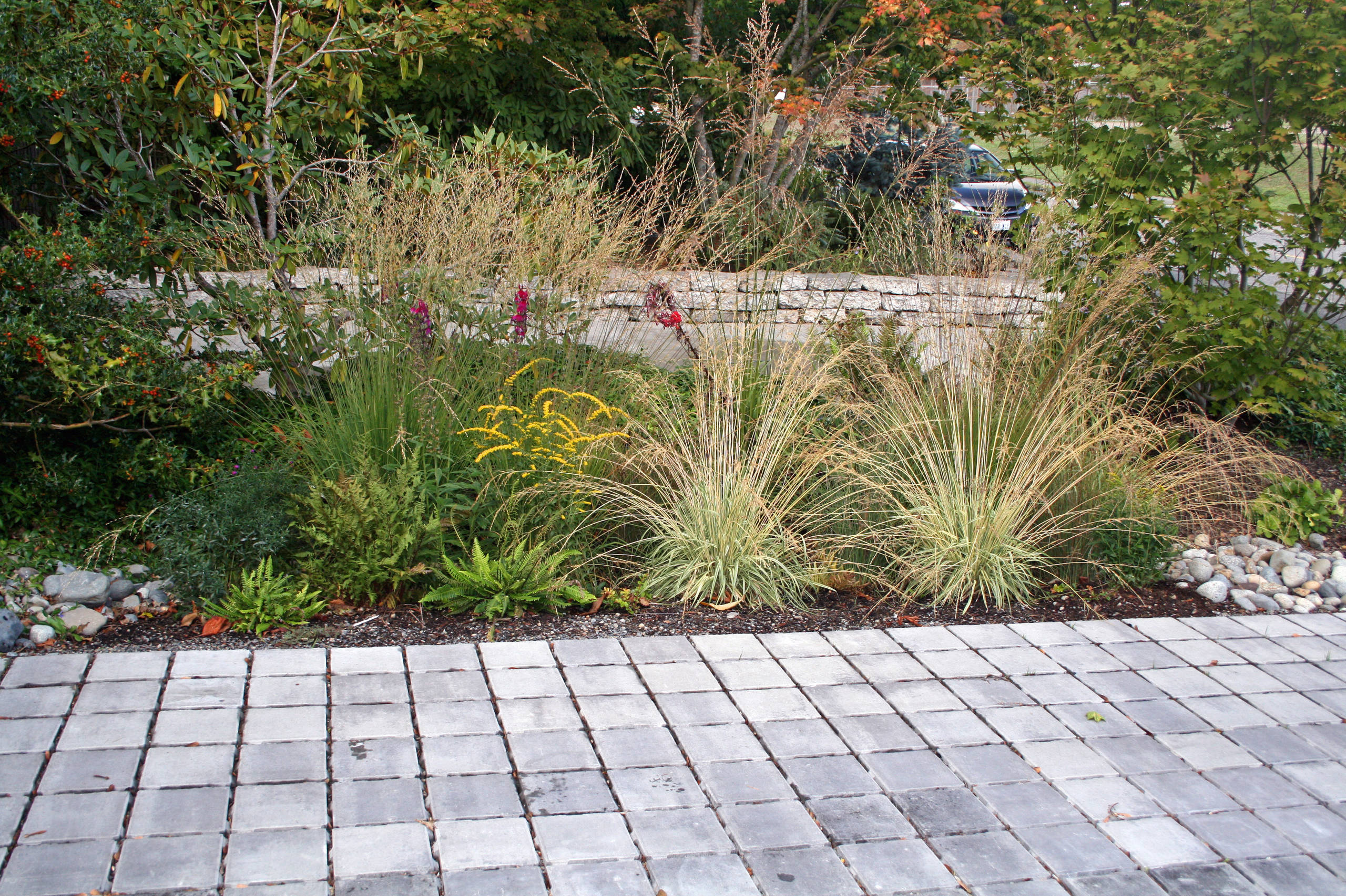 Как правильно: Отвести лишнюю воду с участка