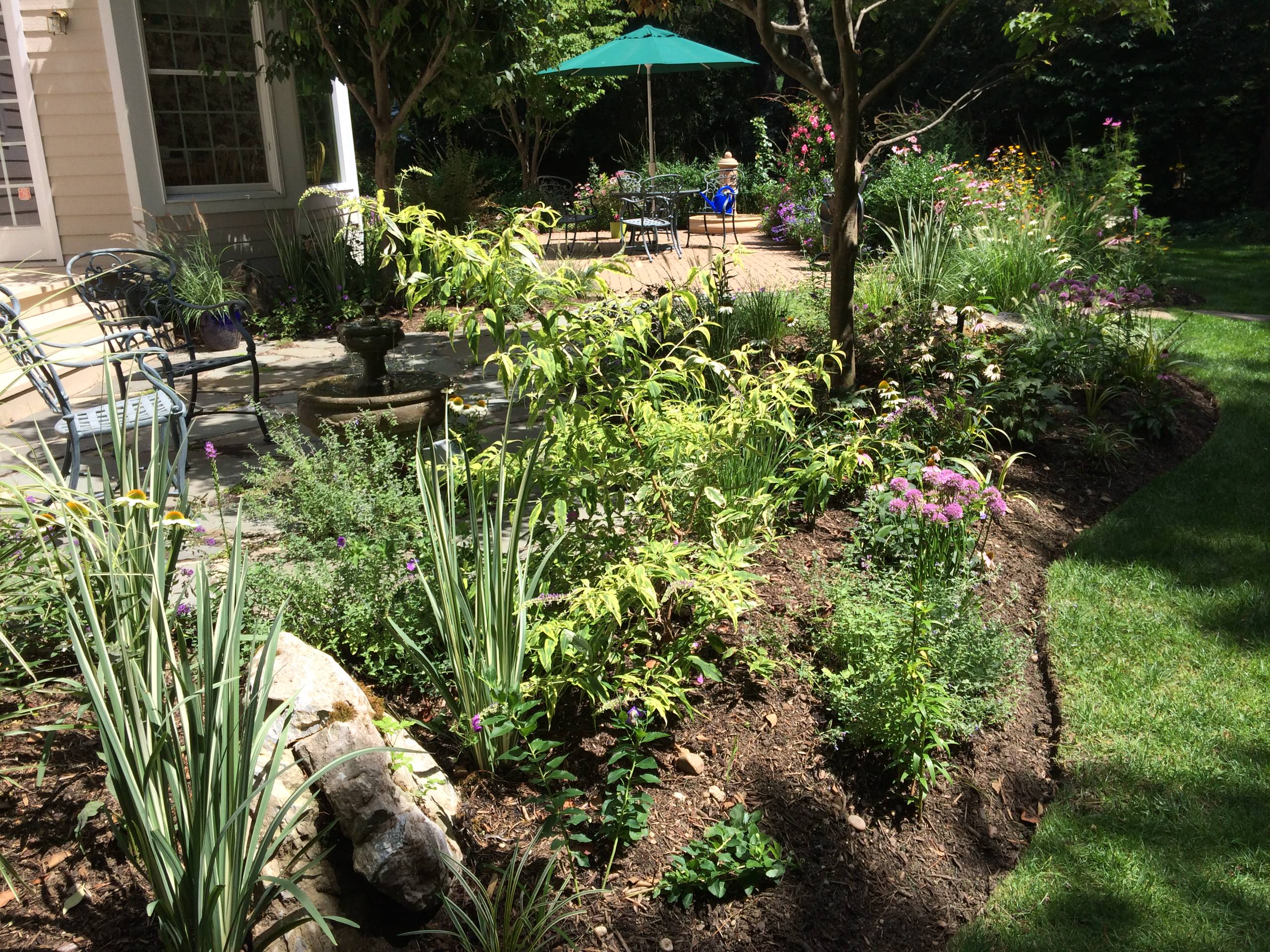 Осенний сад: Планируем цветник будущего года