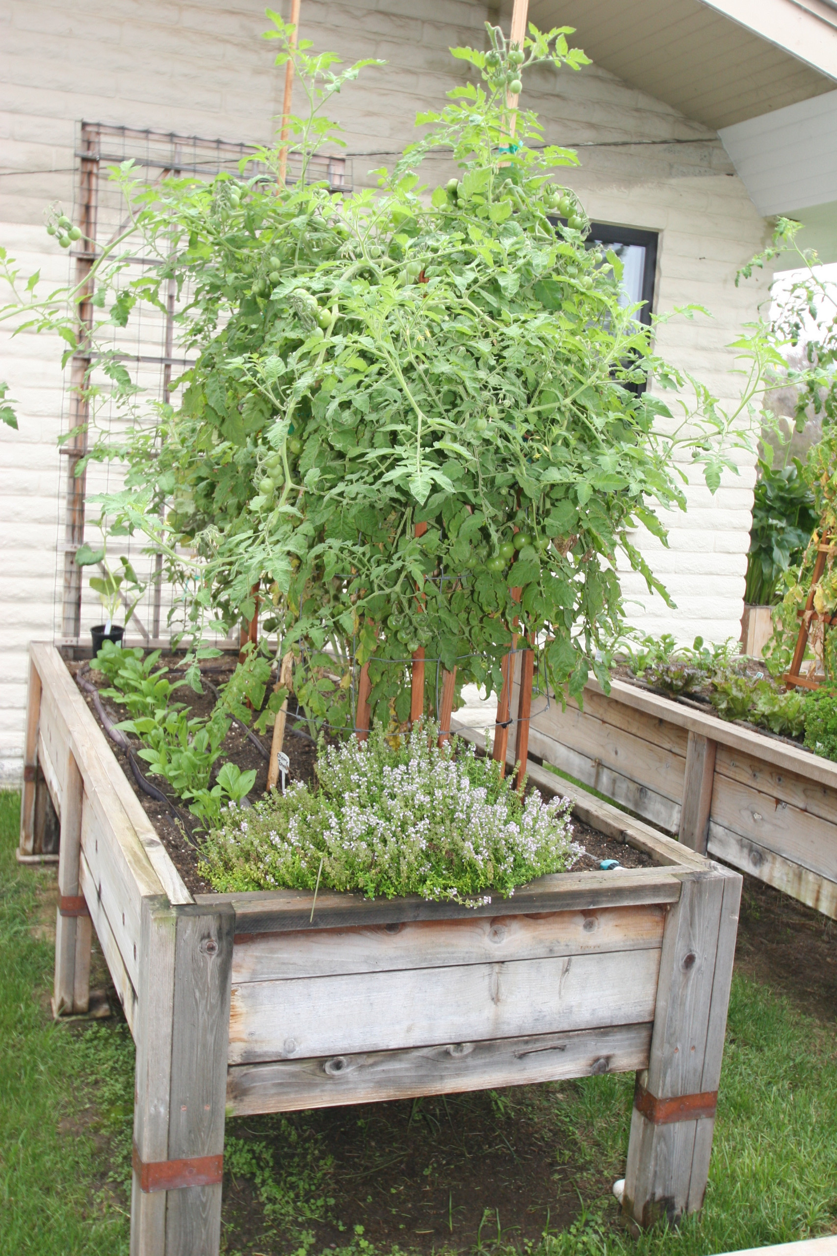 Фотоохота: 72 идеи для ограждения грядок