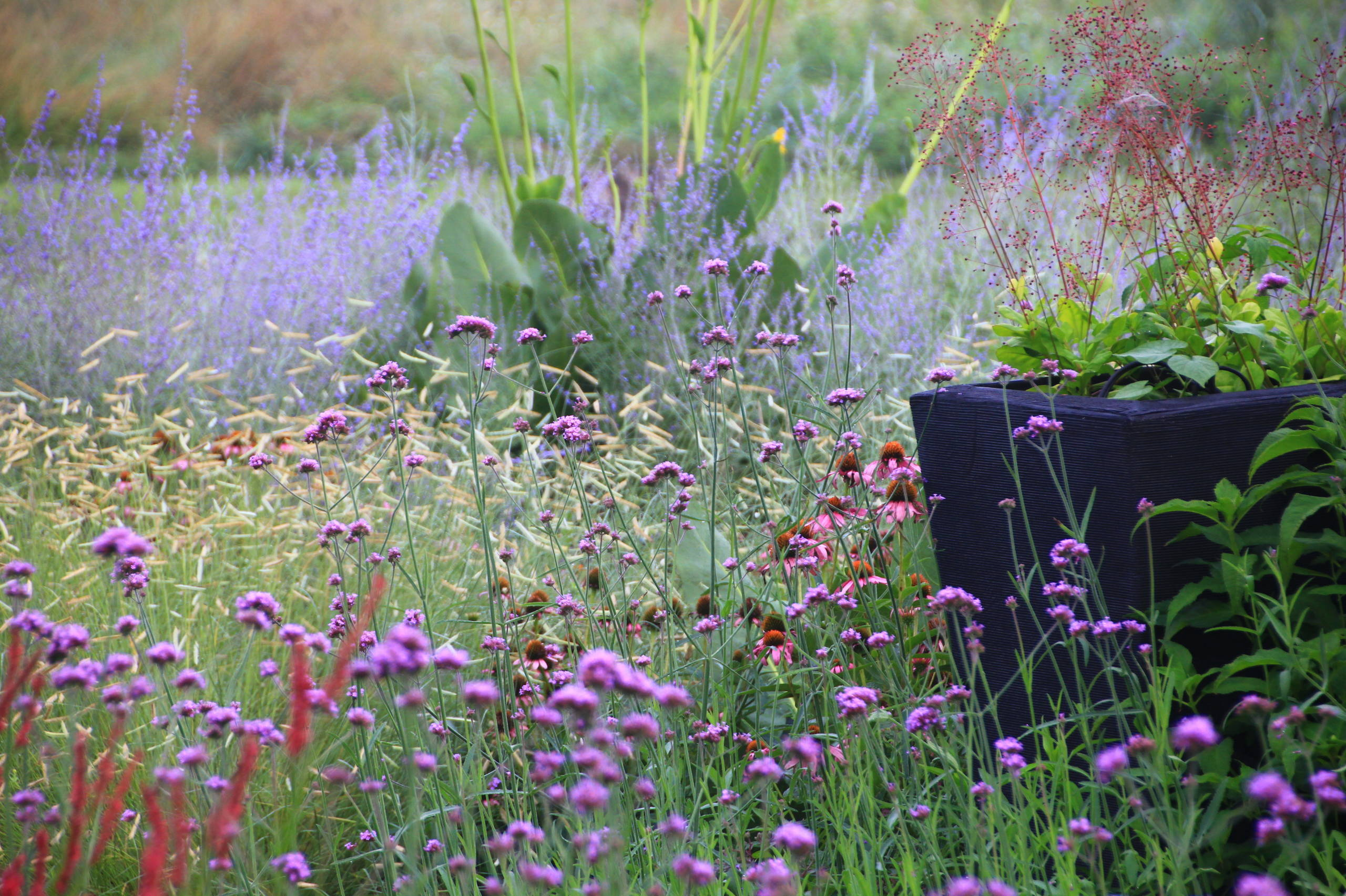 Сад «новой волны»: 5 дизайнеров, которые его определили