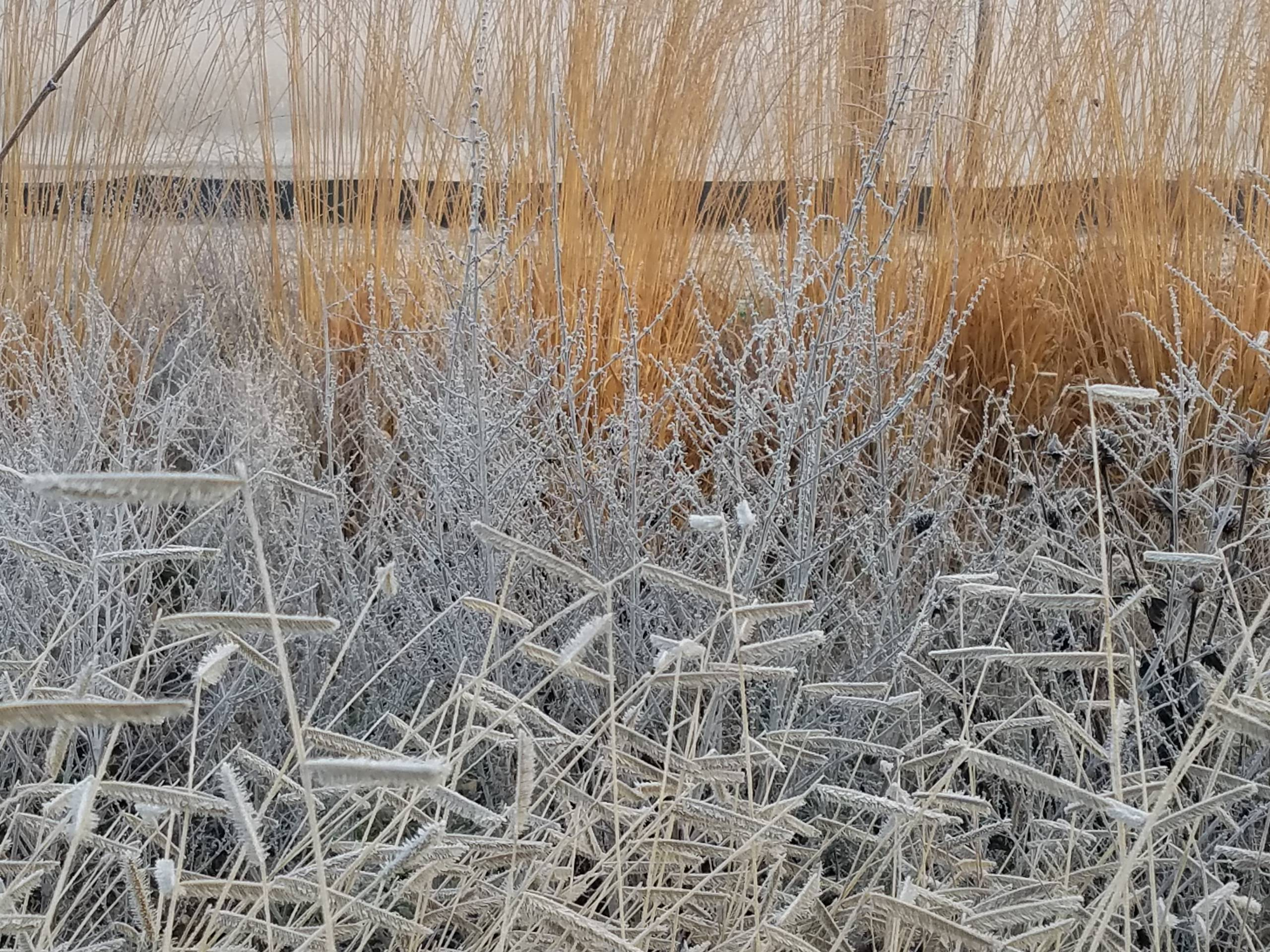 Сад «новой волны»: 5 дизайнеров, которые его определили