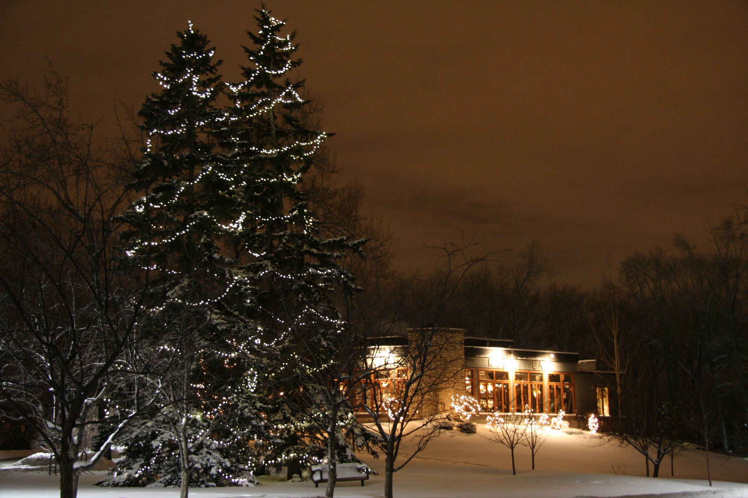Фотоохота: Новогодняя подсветка загородного дома и сада — 26 идей