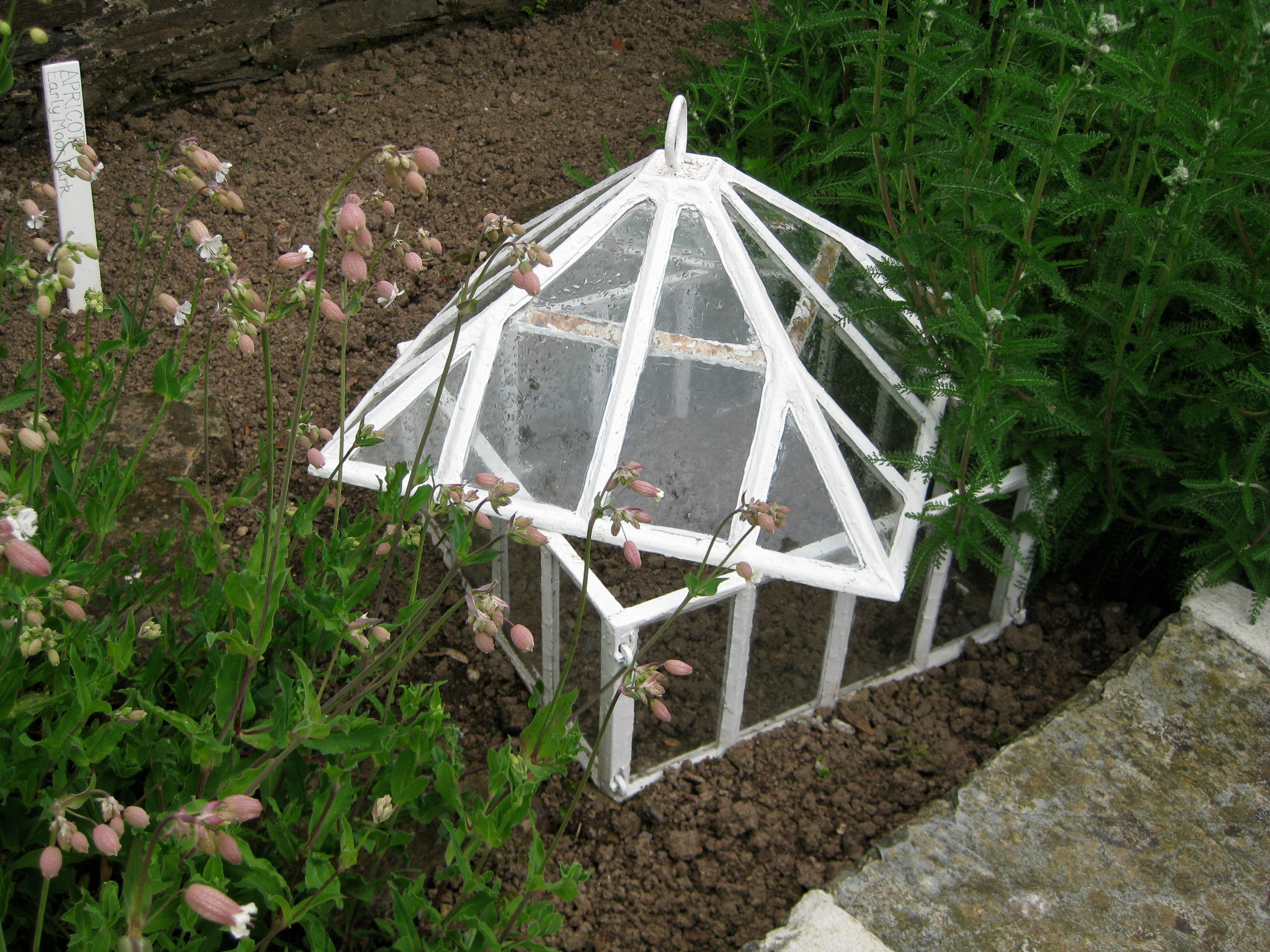 Земельный вопрос: Нужно ли покупать чернозем на участок