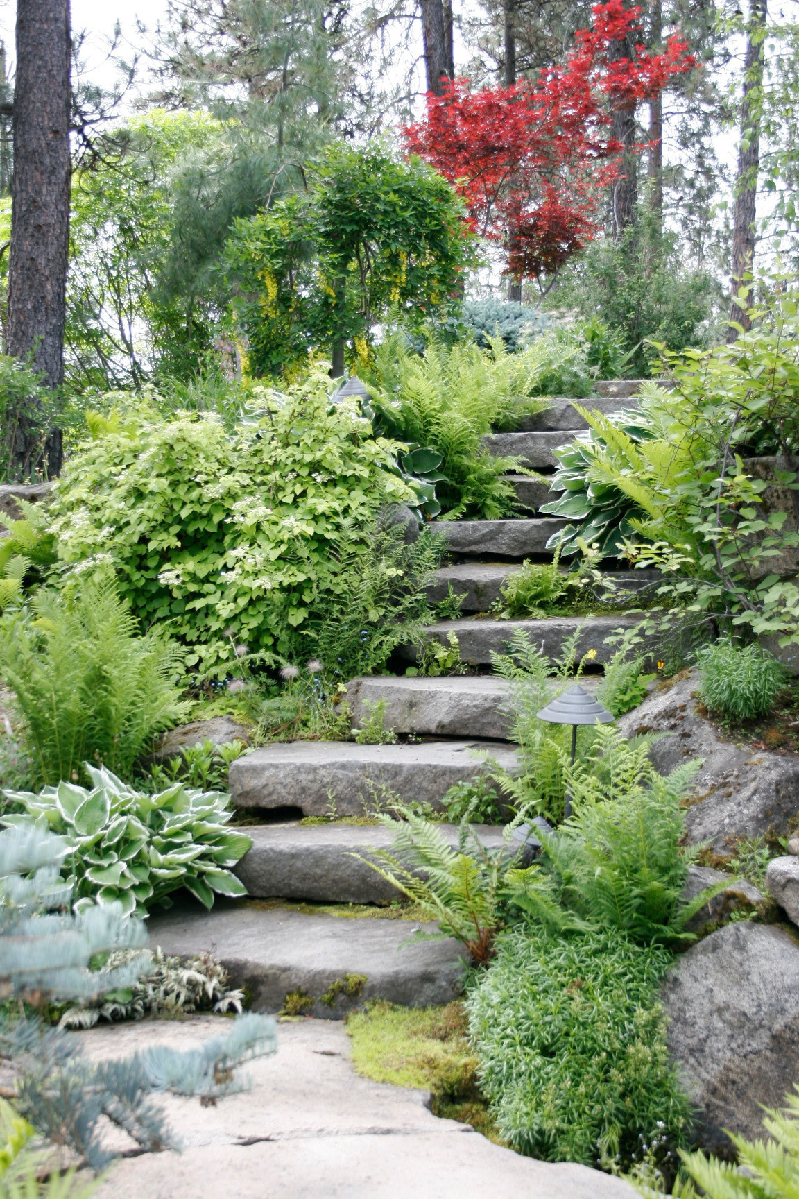 Как правильно: Вырастить «живые ступени»