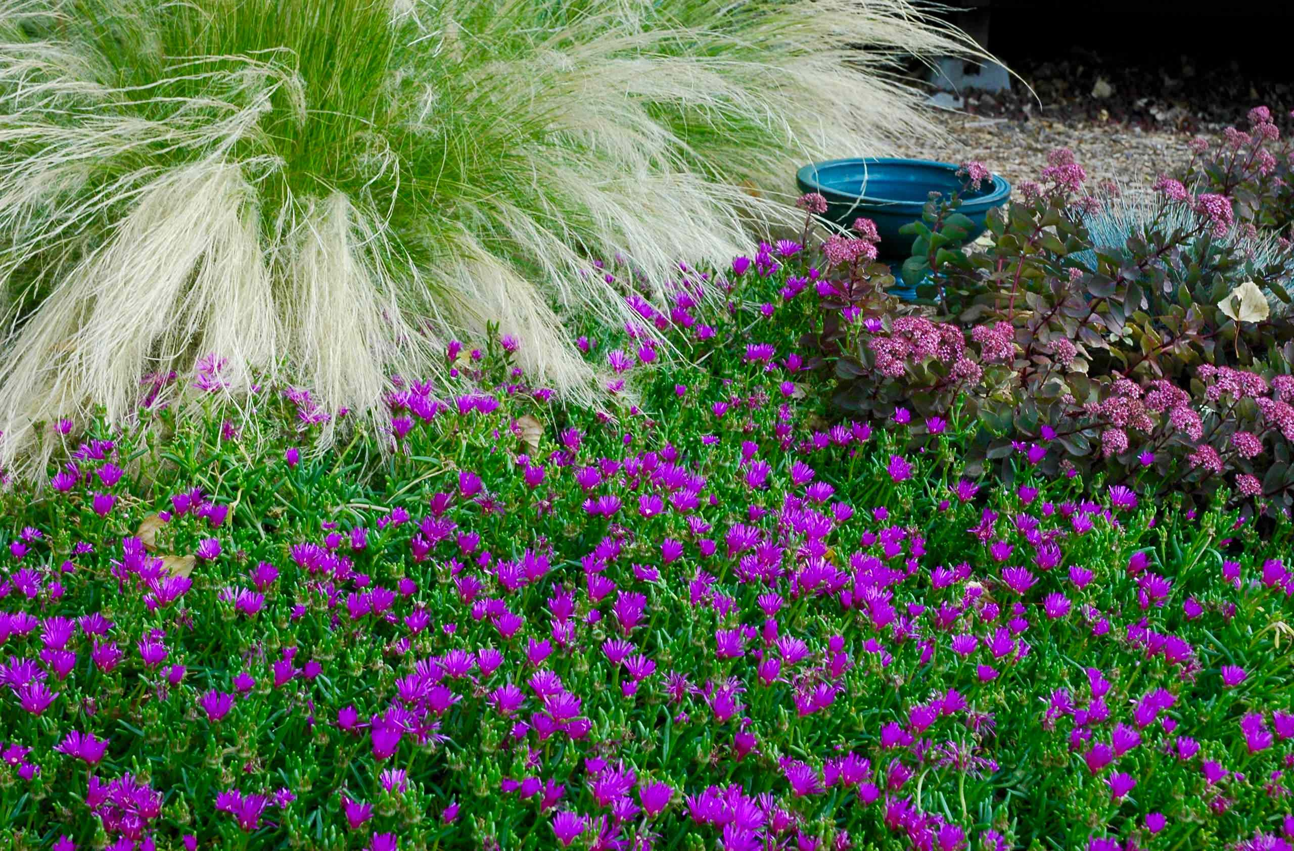 Ваш участок 10 соток? —Забудьте о саде «новой волны»