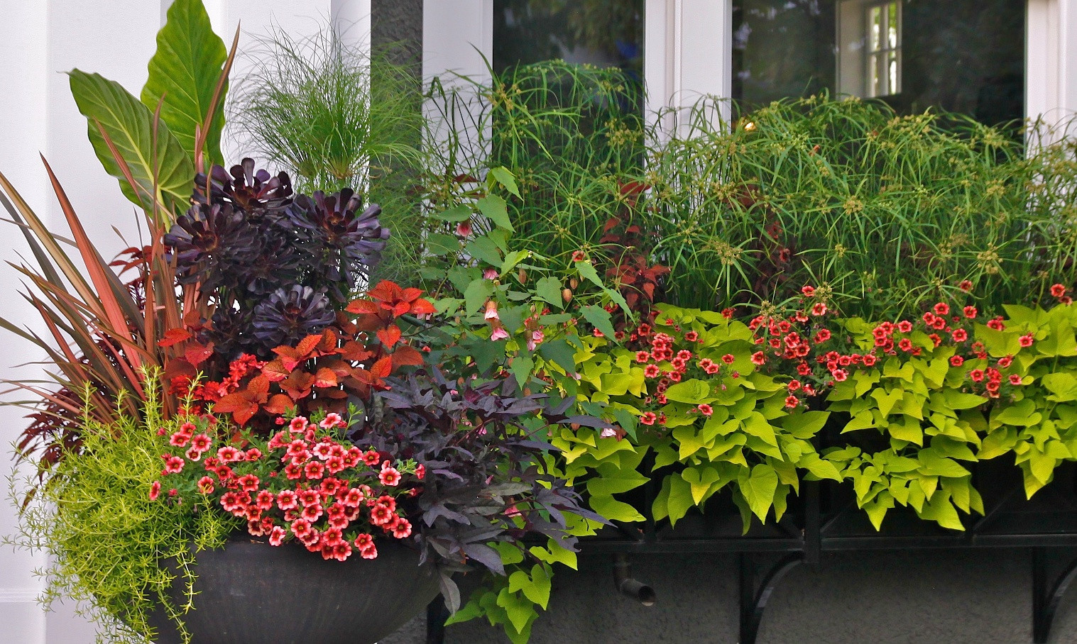 Вопрос: Сад, интерьер и зимний сад — как их связать воедино