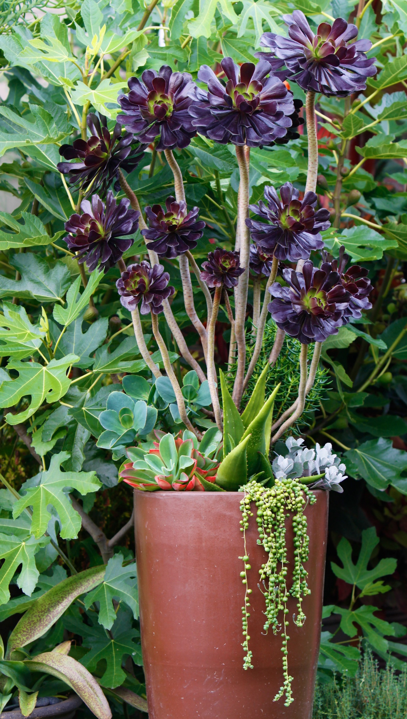 Вопрос: Сад, интерьер и зимний сад — как их связать воедино