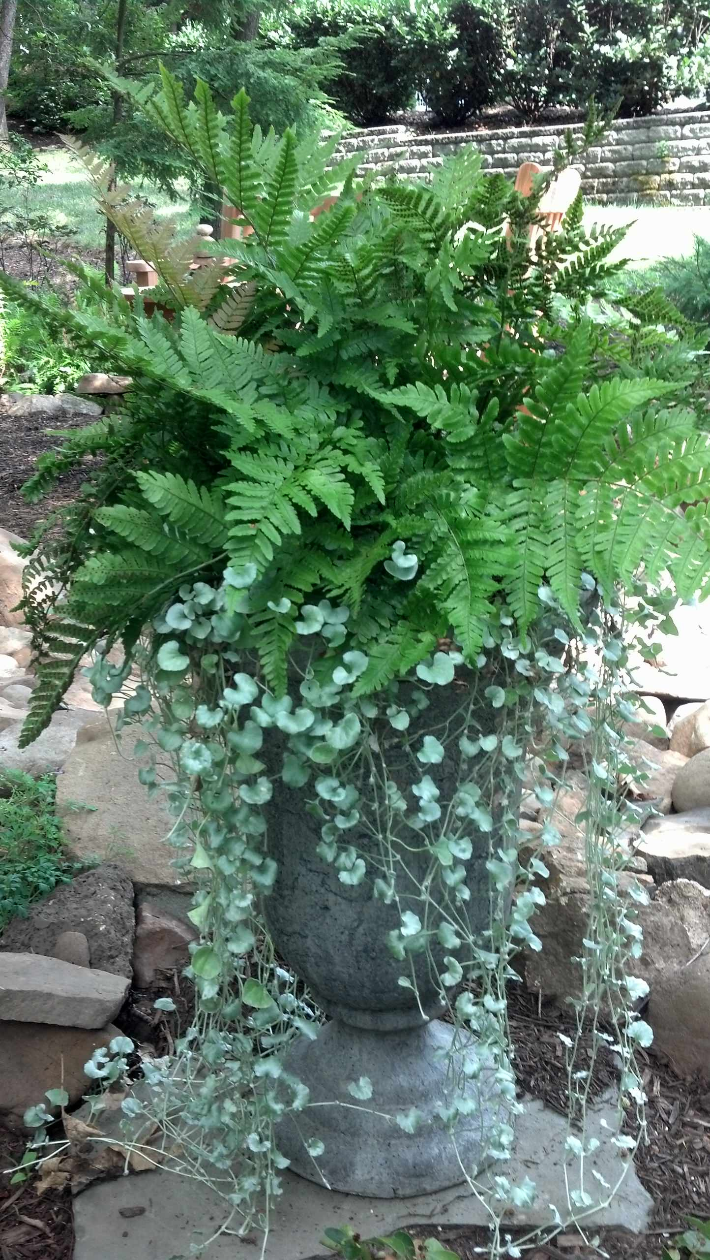 Фотоохота: 50 схем для высадки в летние кашпо