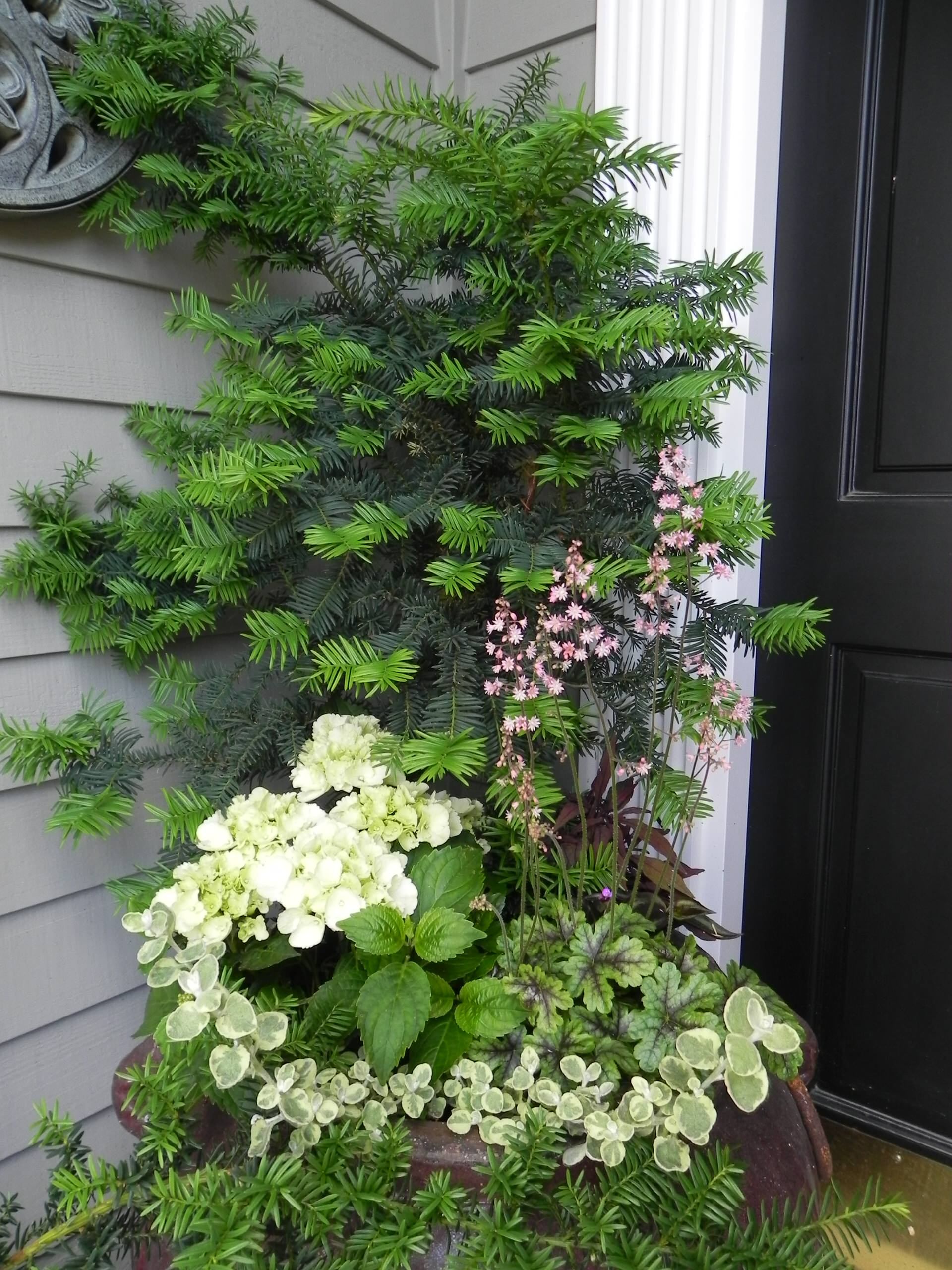 Фотоохота: 50 схем для высадки в летние кашпо