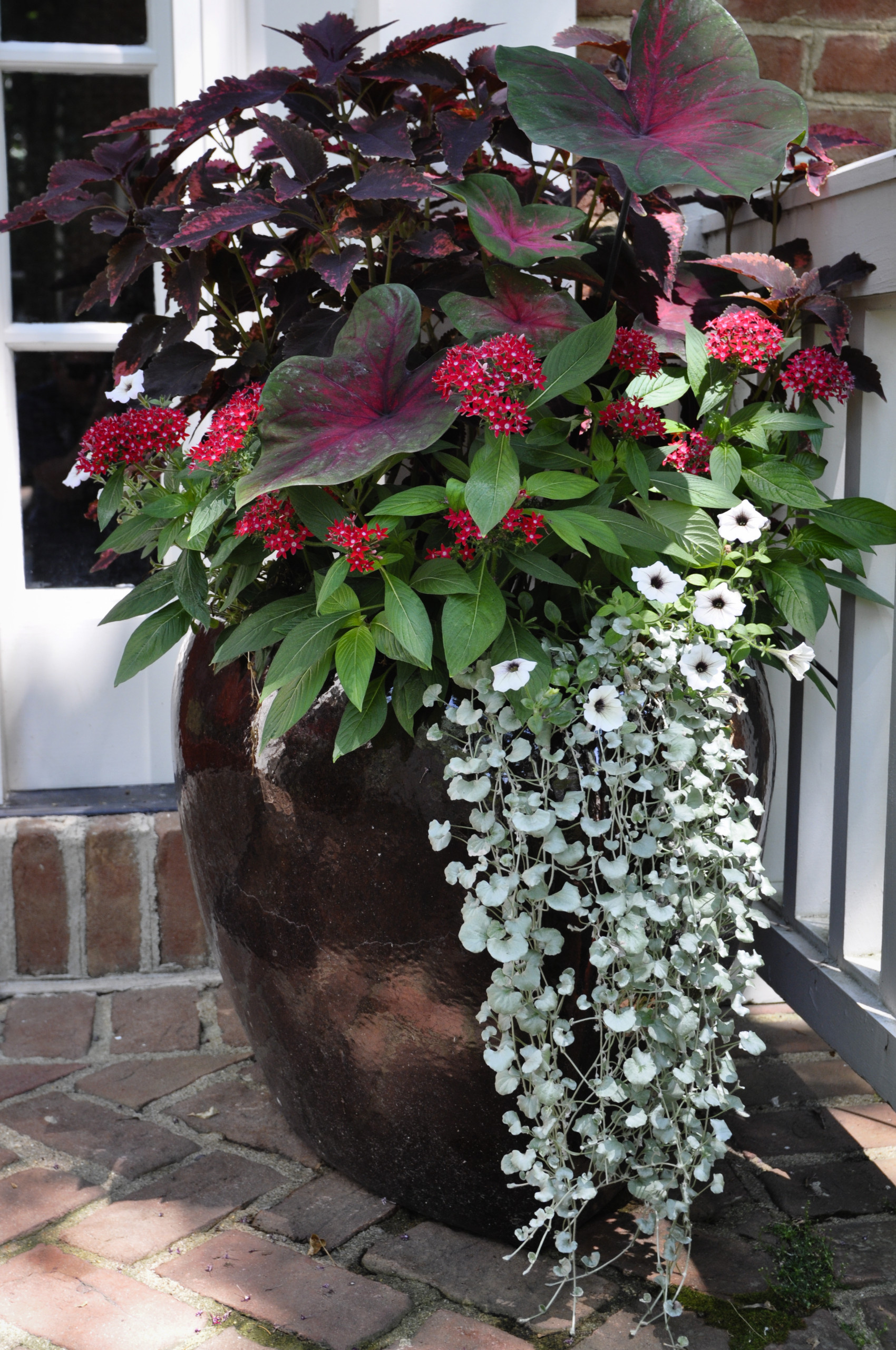 Фотоохота: 50 схем для высадки в летние кашпо