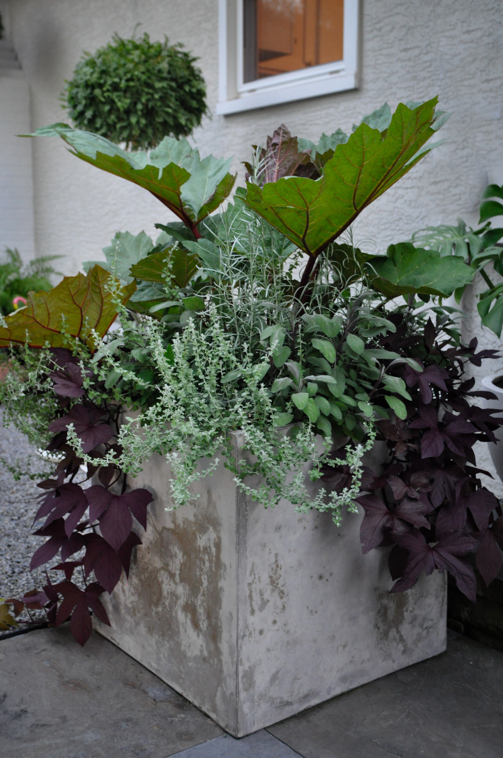 Фотоохота: 50 схем для высадки в летние кашпо