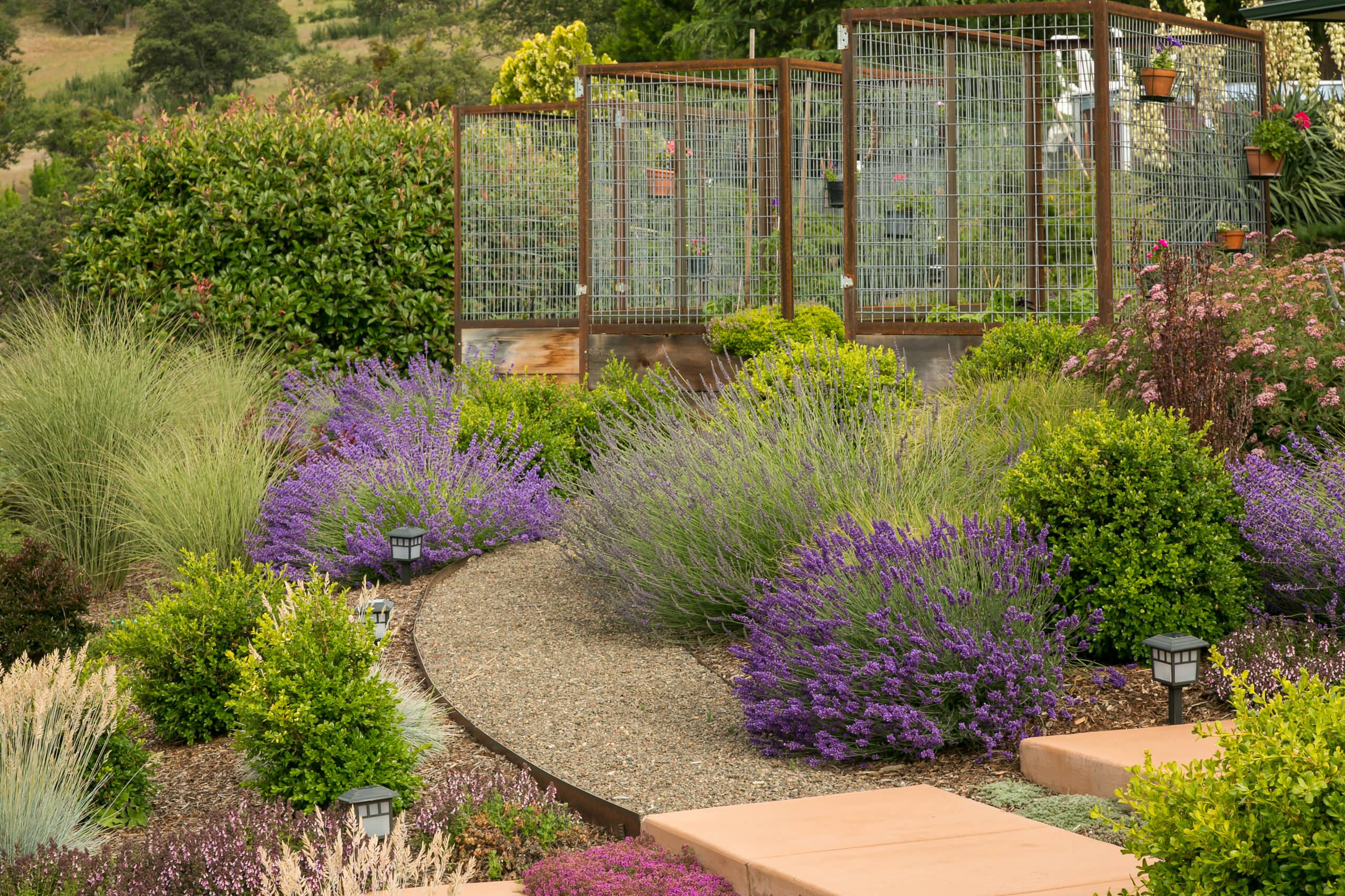 Зачем вам: Дорожки без мощения