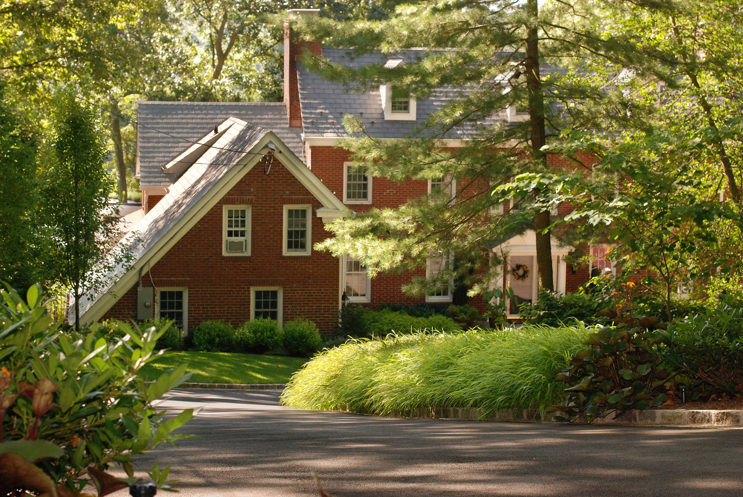 Фотоохота: 37 садов со злаками