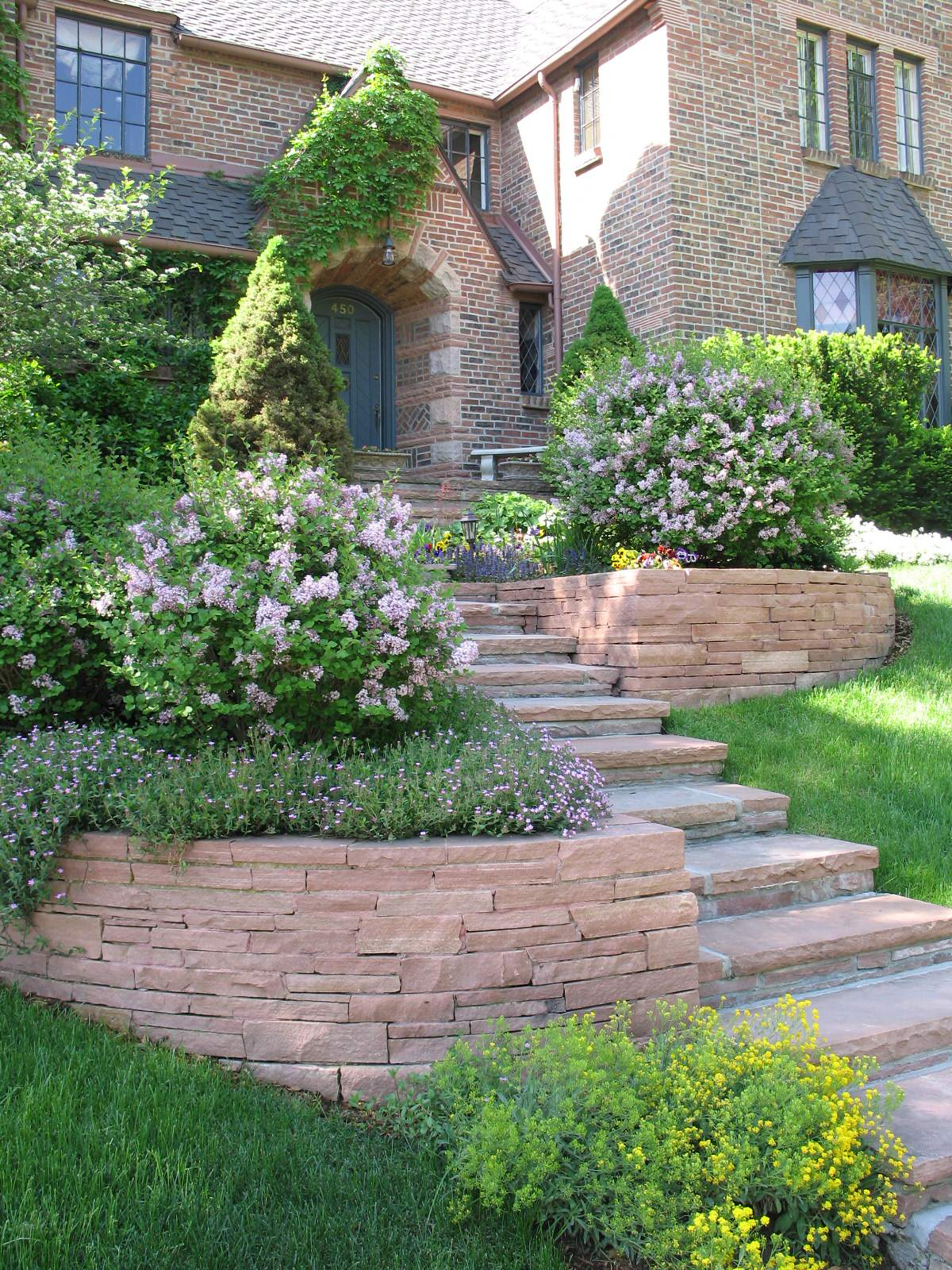 Как правильно: Выбрать и посадить сирень в своем саду