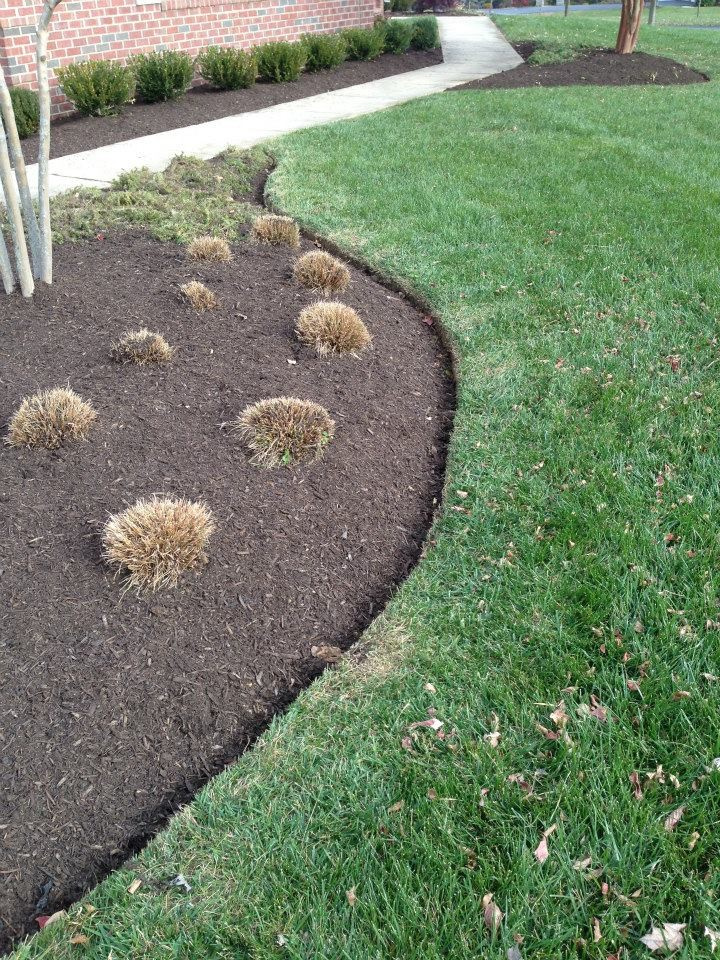 Как правильно: Провести генеральную уборку на садовом участке