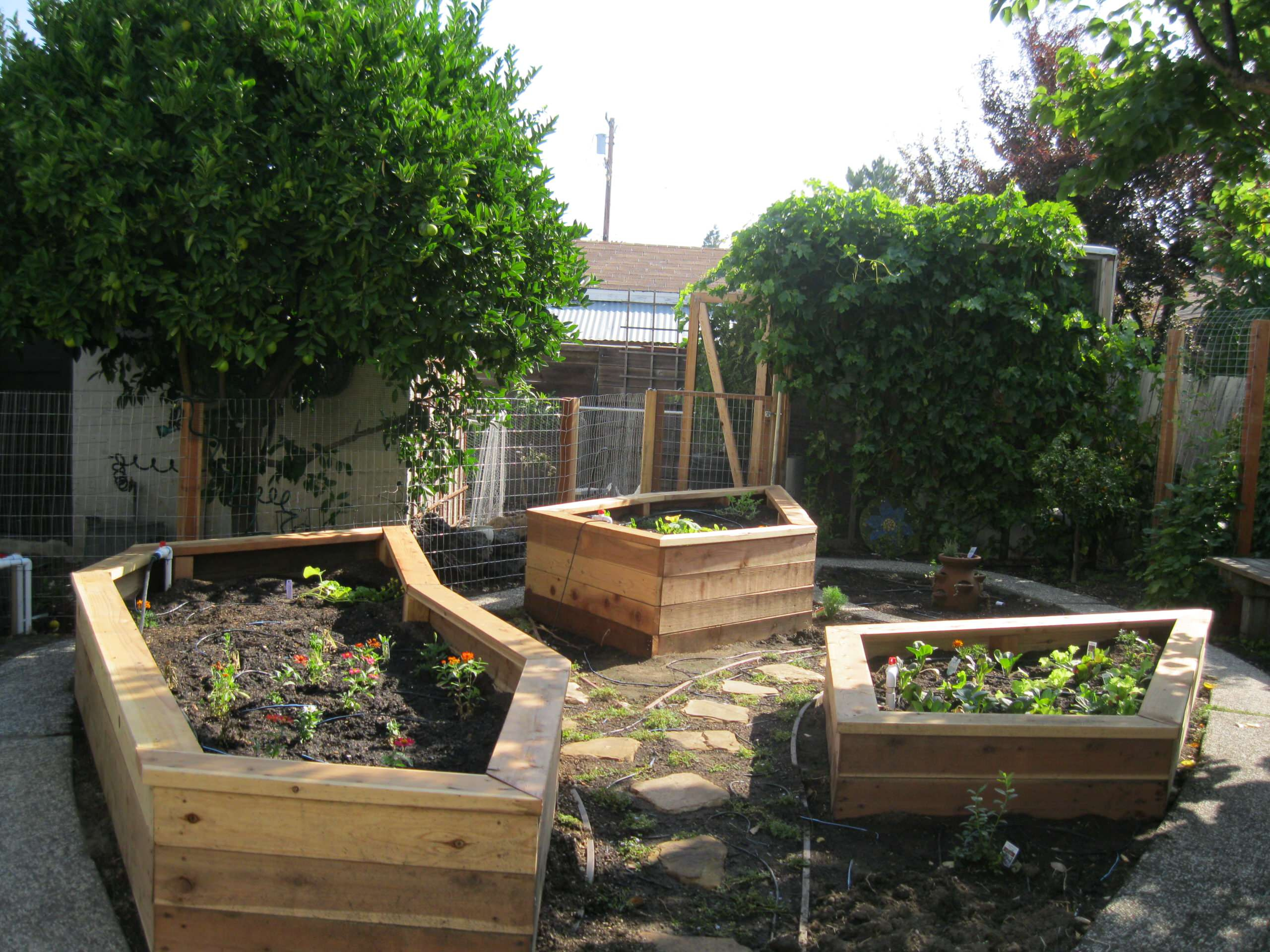 До чего дошел прогресс: Умные технологии в вашем саду