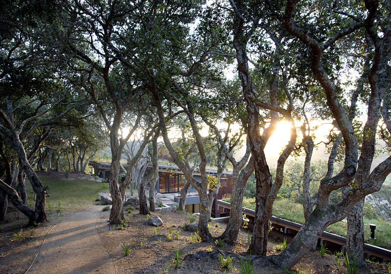 Ландшафт: Изъяны участка, которые сложно исправить