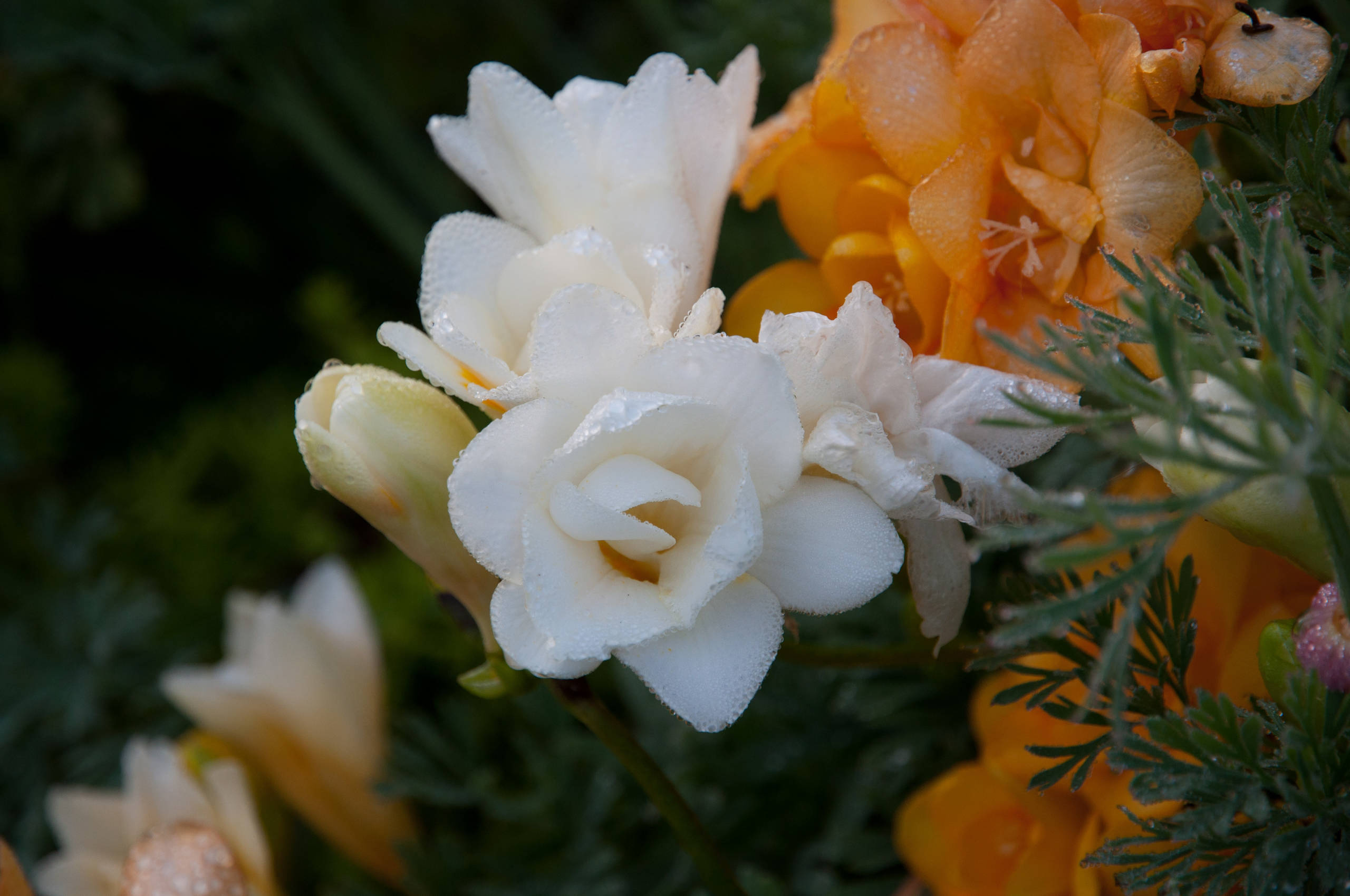 Хороший вопрос: Отражает ли интерьер вашу внутреннюю красоту