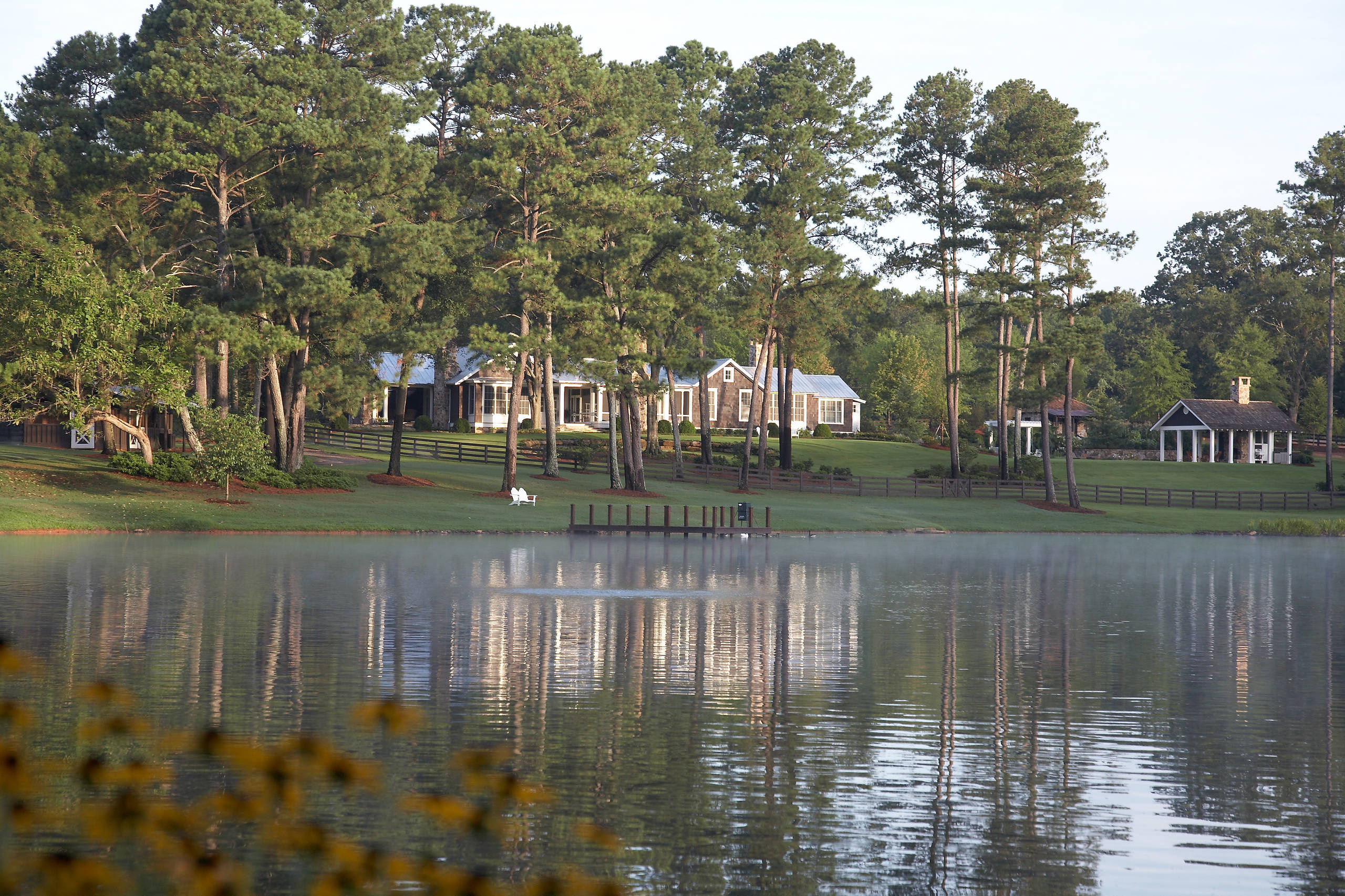 Родовое дерево: Как вырастить дуб из желудя, а сосну из семечка