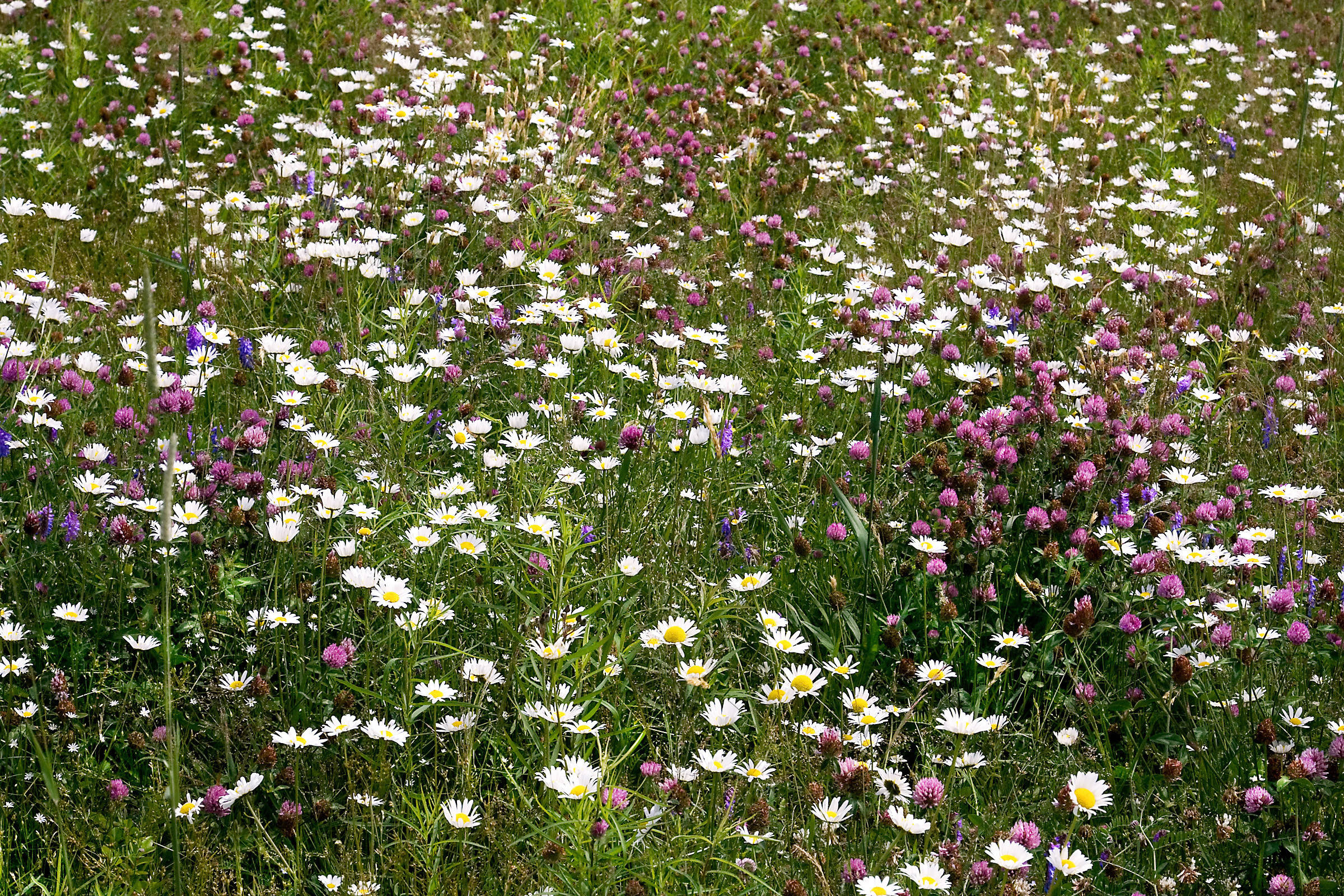 Хороший вопрос: Отражает ли интерьер вашу внутреннюю красоту
