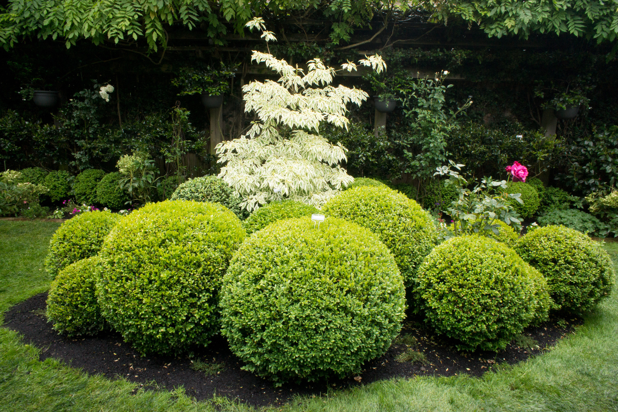 Фотоохота: 85 вдохновляющих уголков сада