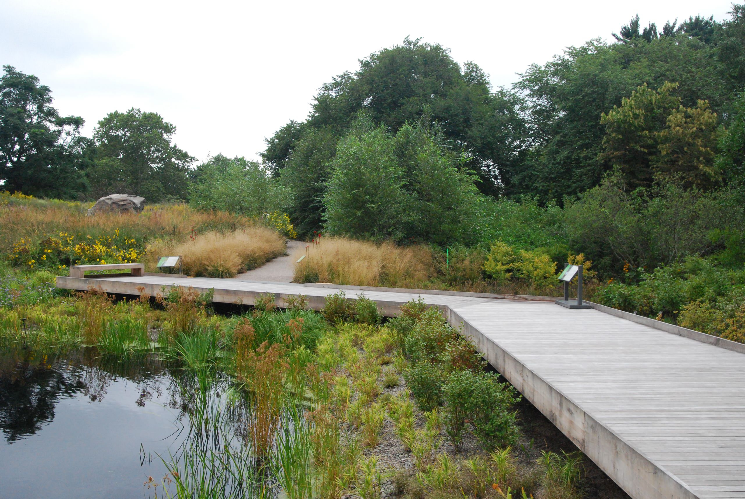 Ландшафт: Изъяны участка, которые сложно исправить