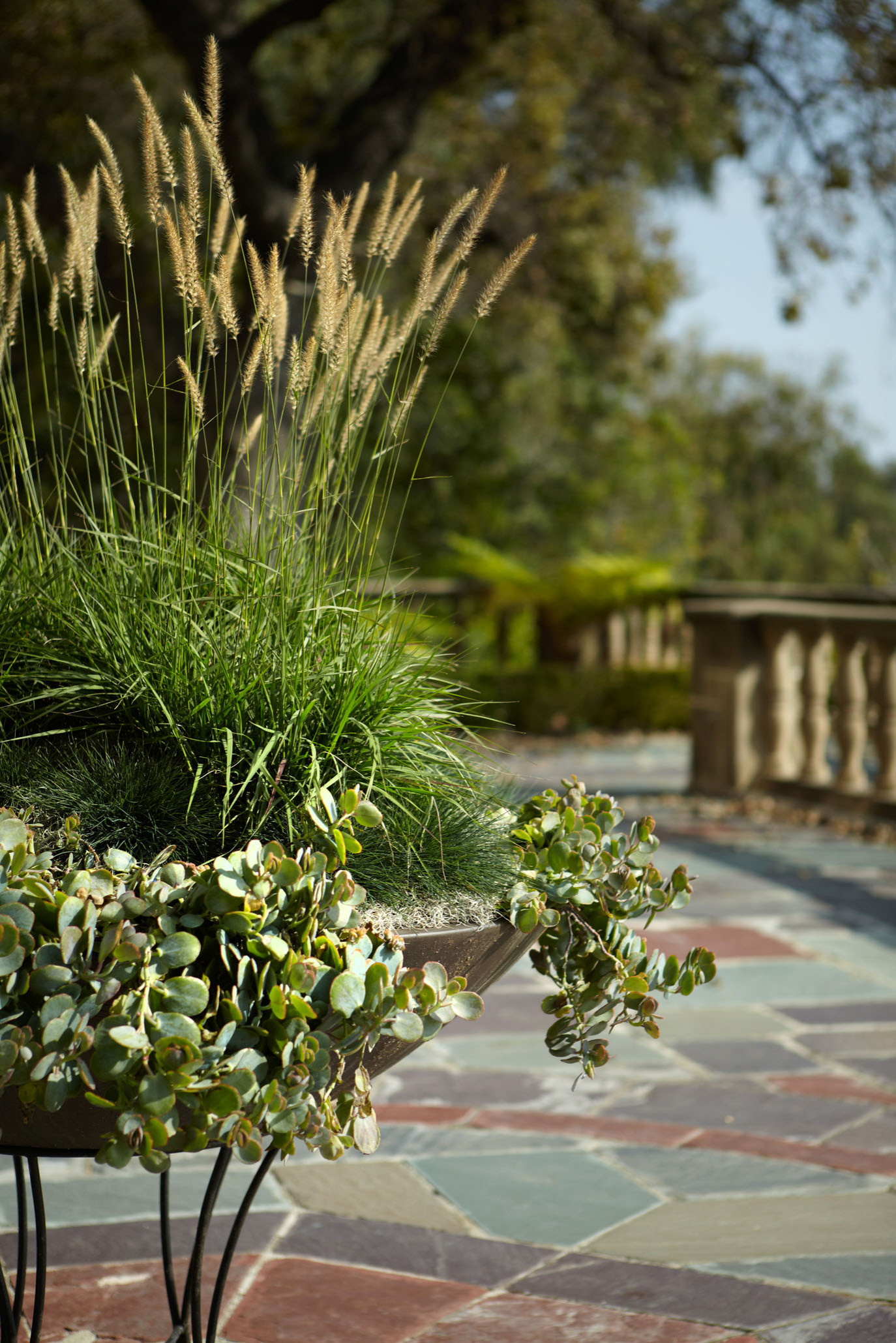 Фотоохота: 50 схем для высадки в летние кашпо