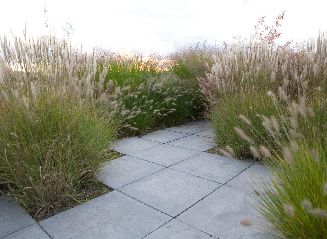 Фотоохота: 37 садов со злаками