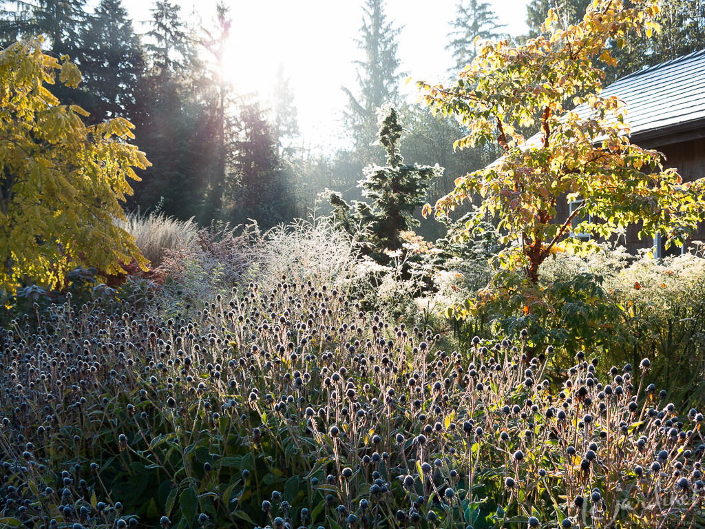 Ваш участок 10 соток? —Забудьте о саде «новой волны»
