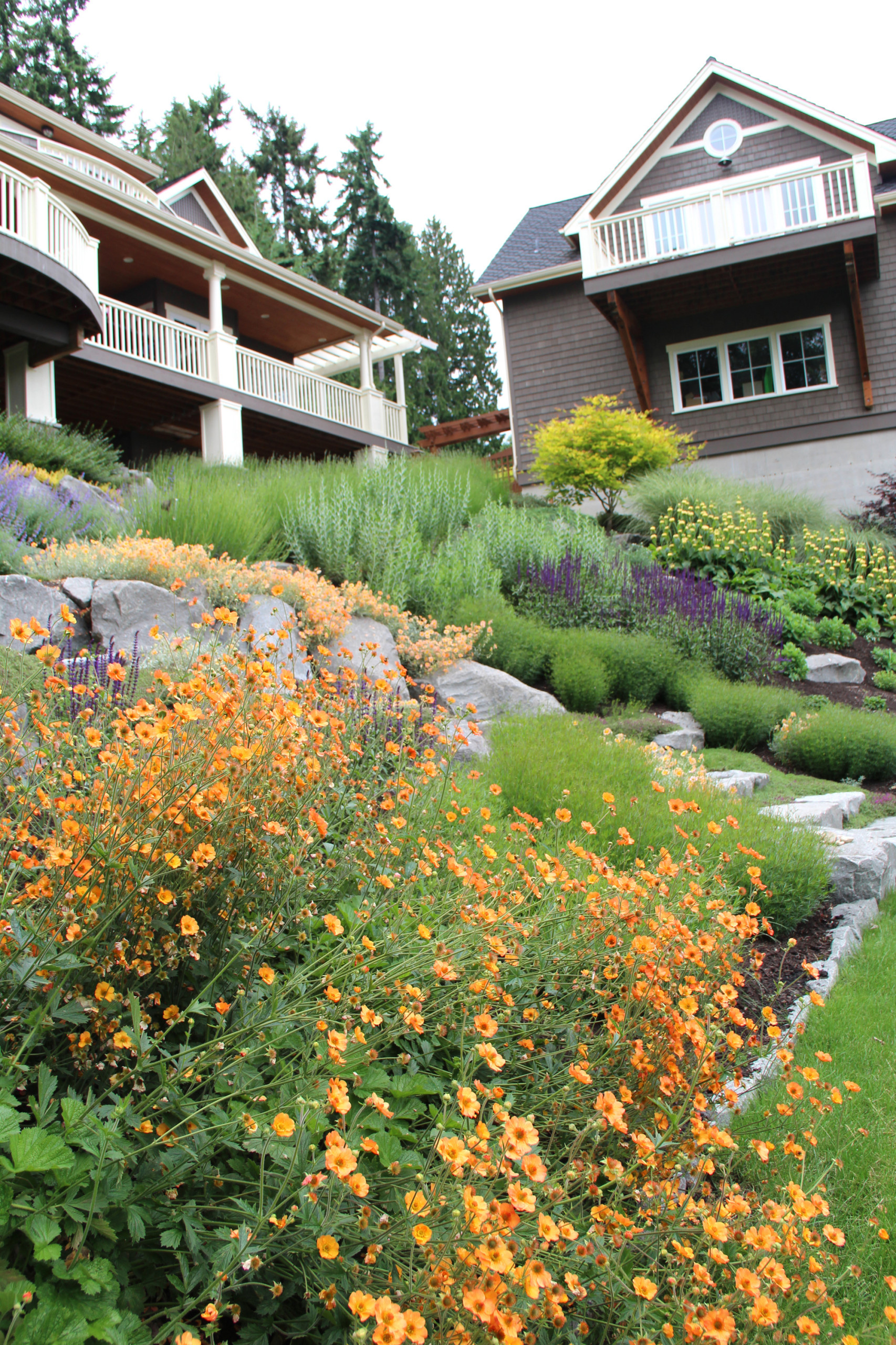 Как правильно: Спланировать цветник на садовом участке