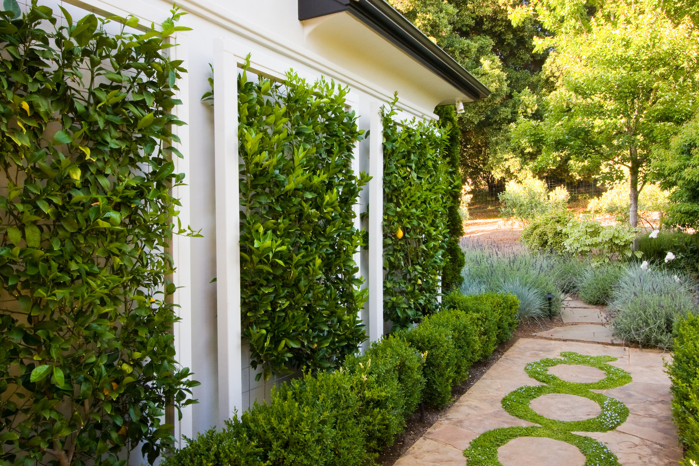 Фотоохота: «Рисунки» по газону — 18 идей