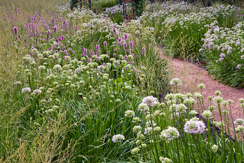 Ваш участок 10 соток? —Забудьте о саде «новой волны»