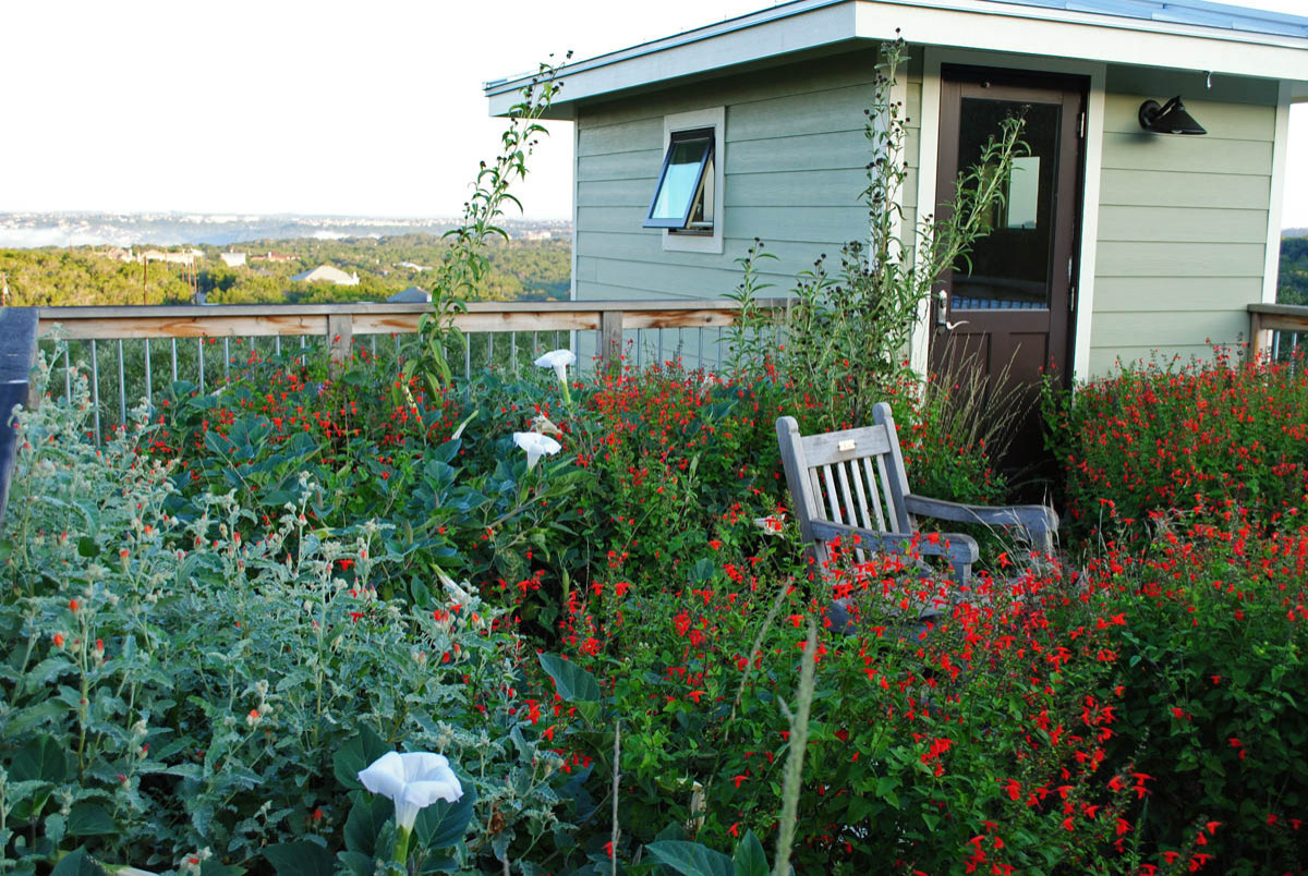 Фотоохота: 81 идея обустройства крыши на летний период