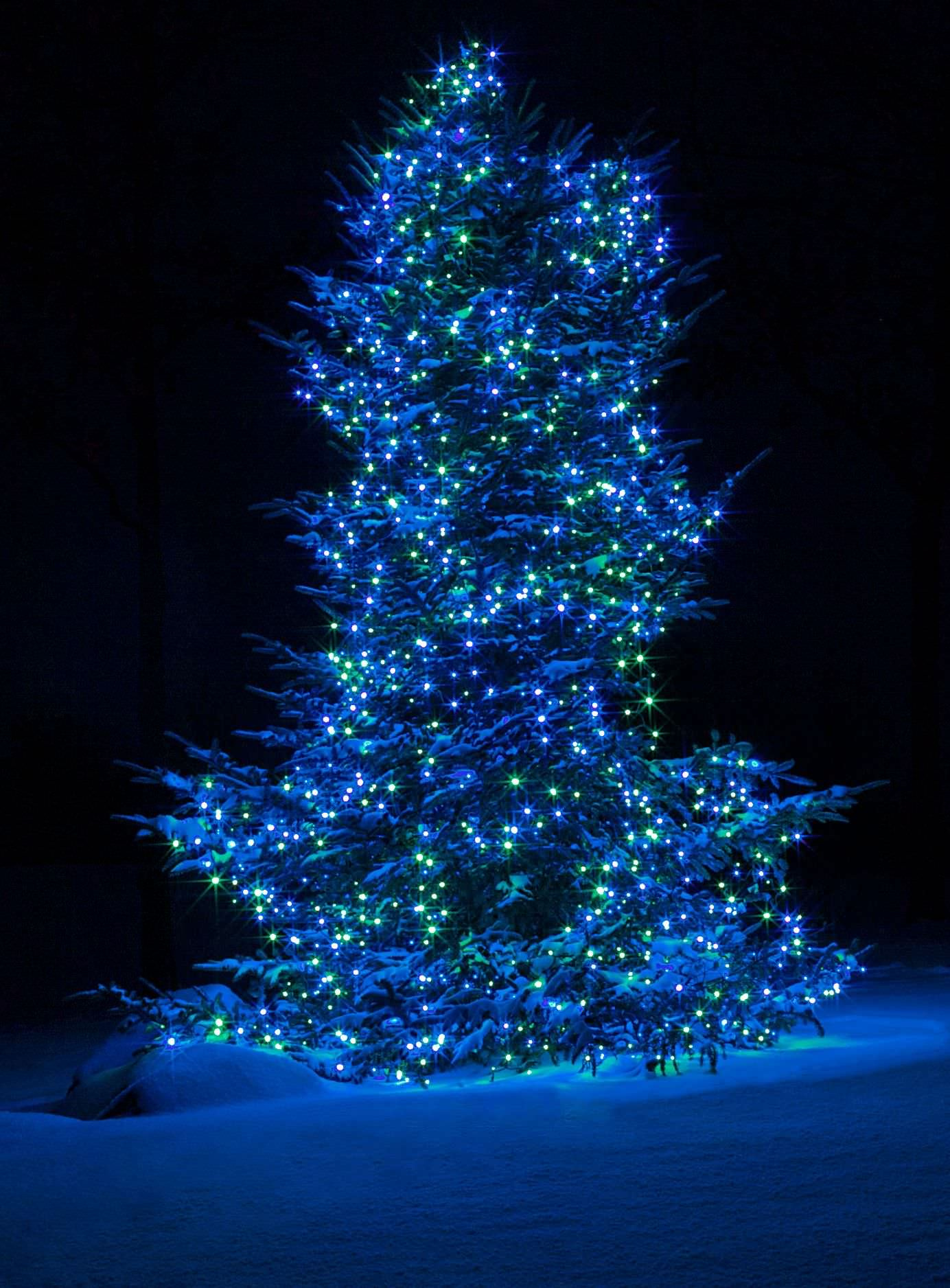 Фотоохота: Новогодняя подсветка загородного дома и сада — 26 идей