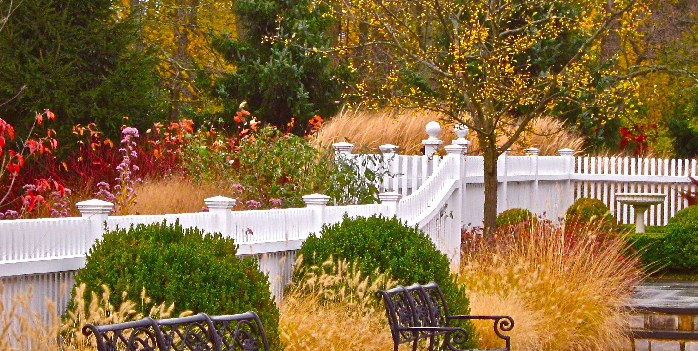 Фотоохота: 37 садов со злаками