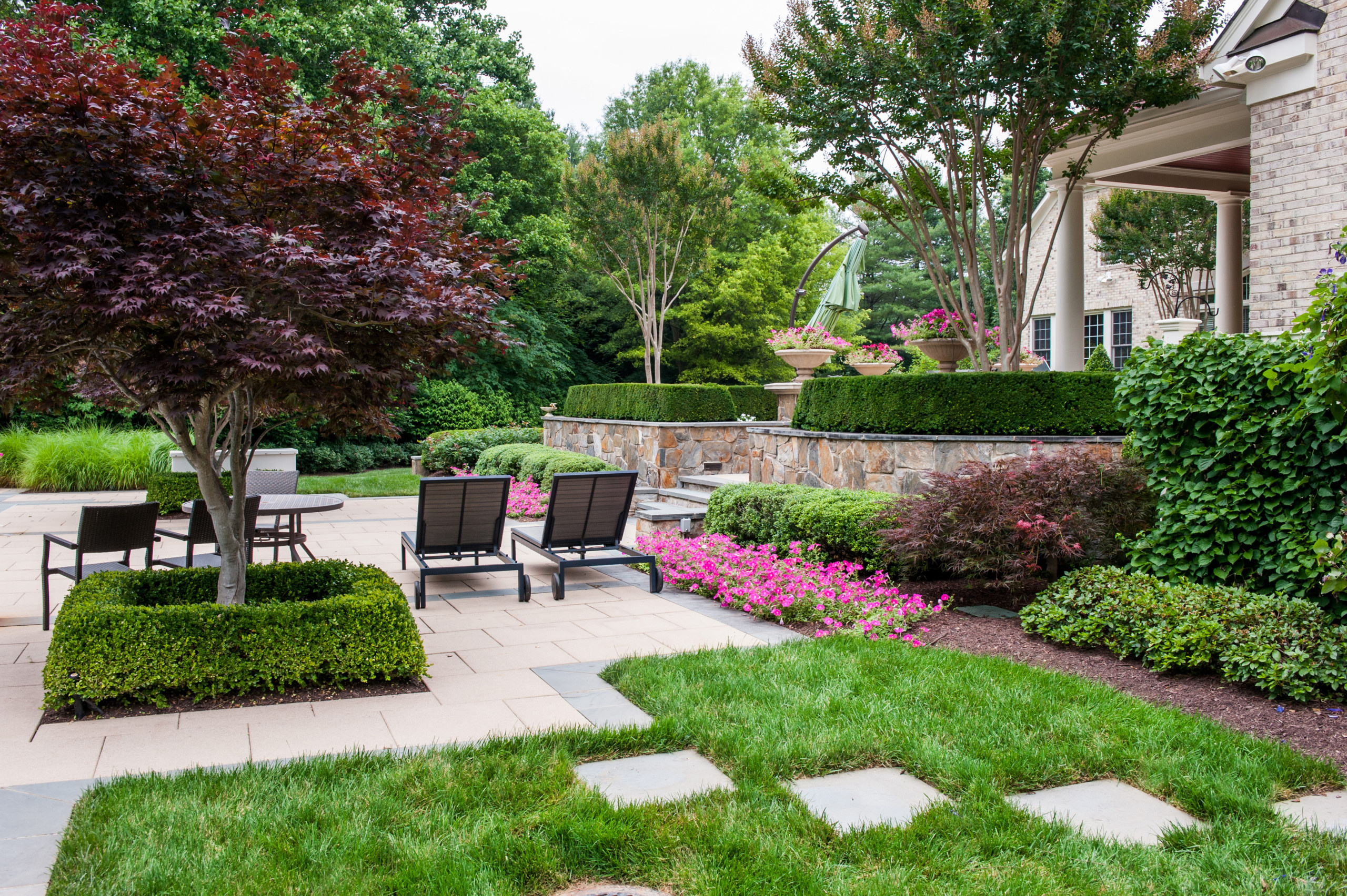 Зрелый сад: Как организовать уход за деревьями