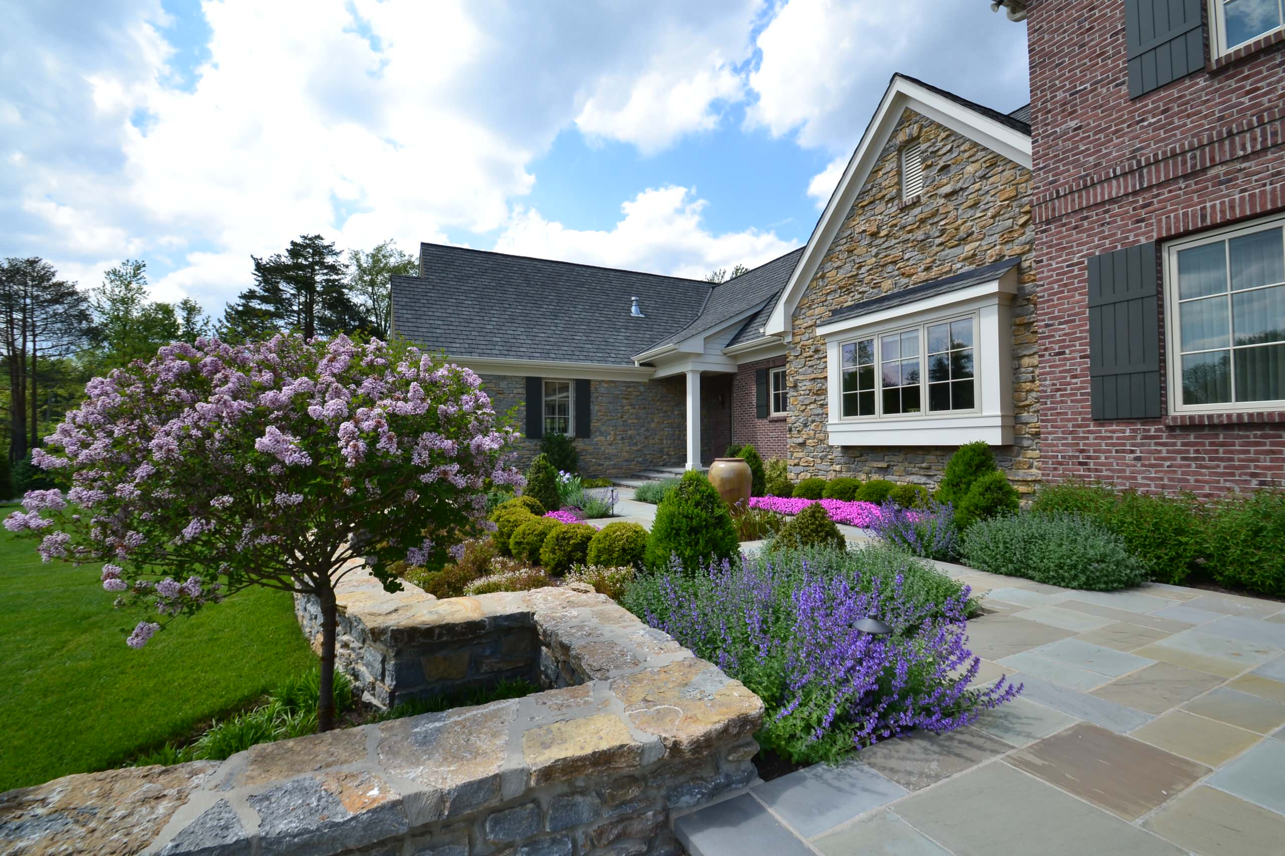 Как правильно: Выбрать и посадить сирень в своем саду