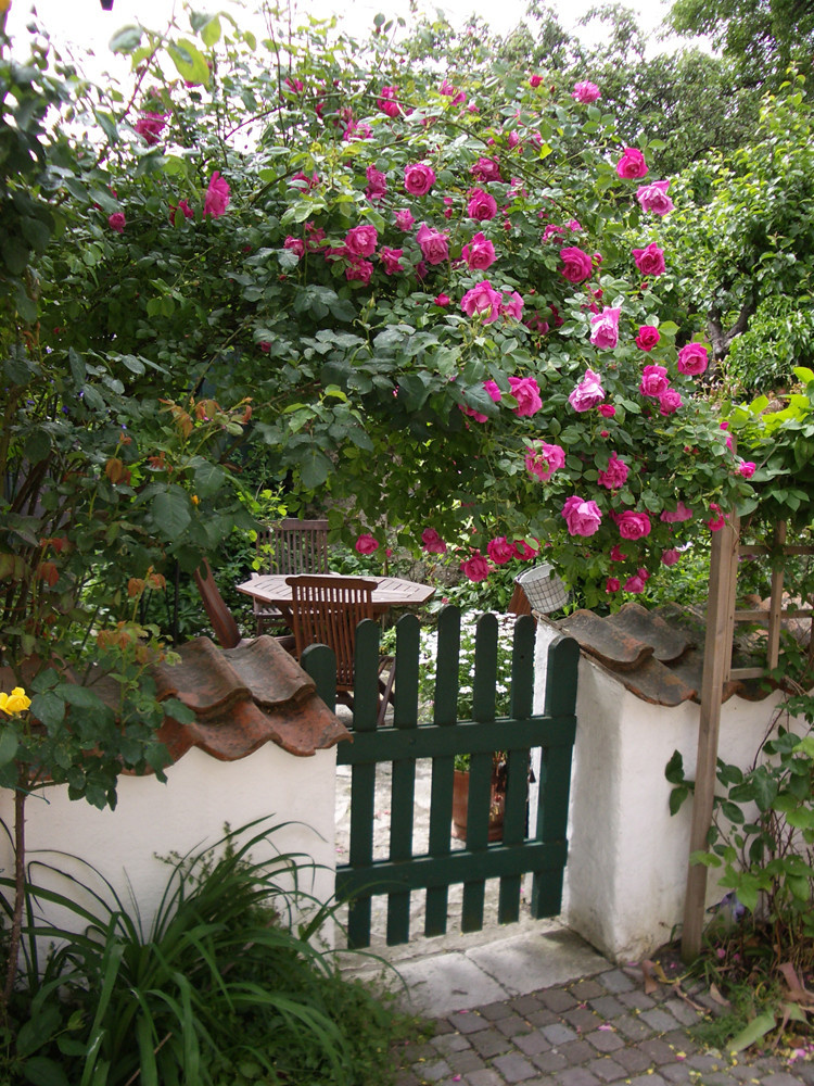 Фотоохота: Клумбы и цветники — 64 идеи для дачи