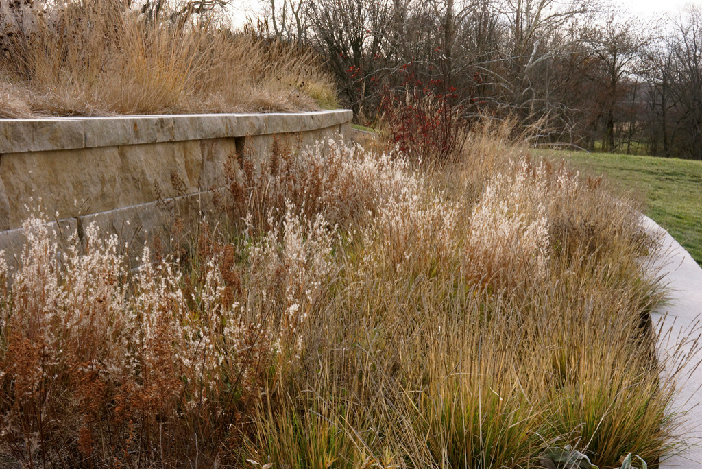 Ваш участок 10 соток? —Забудьте о саде «новой волны»
